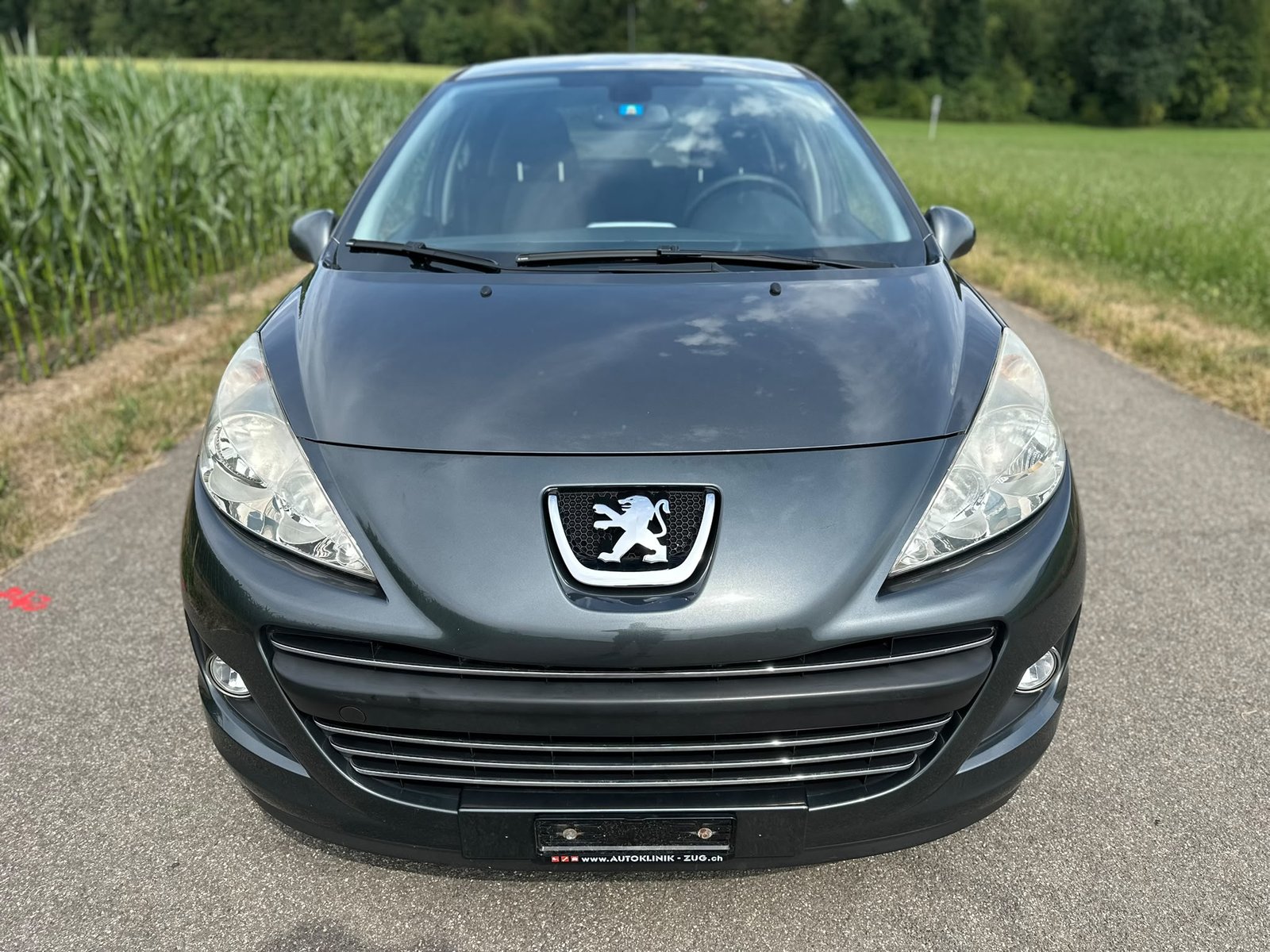 PEUGEOT 207 1.6 16V Lion Edition, Essence, Occasion / Utilisé, Manuelle - 3