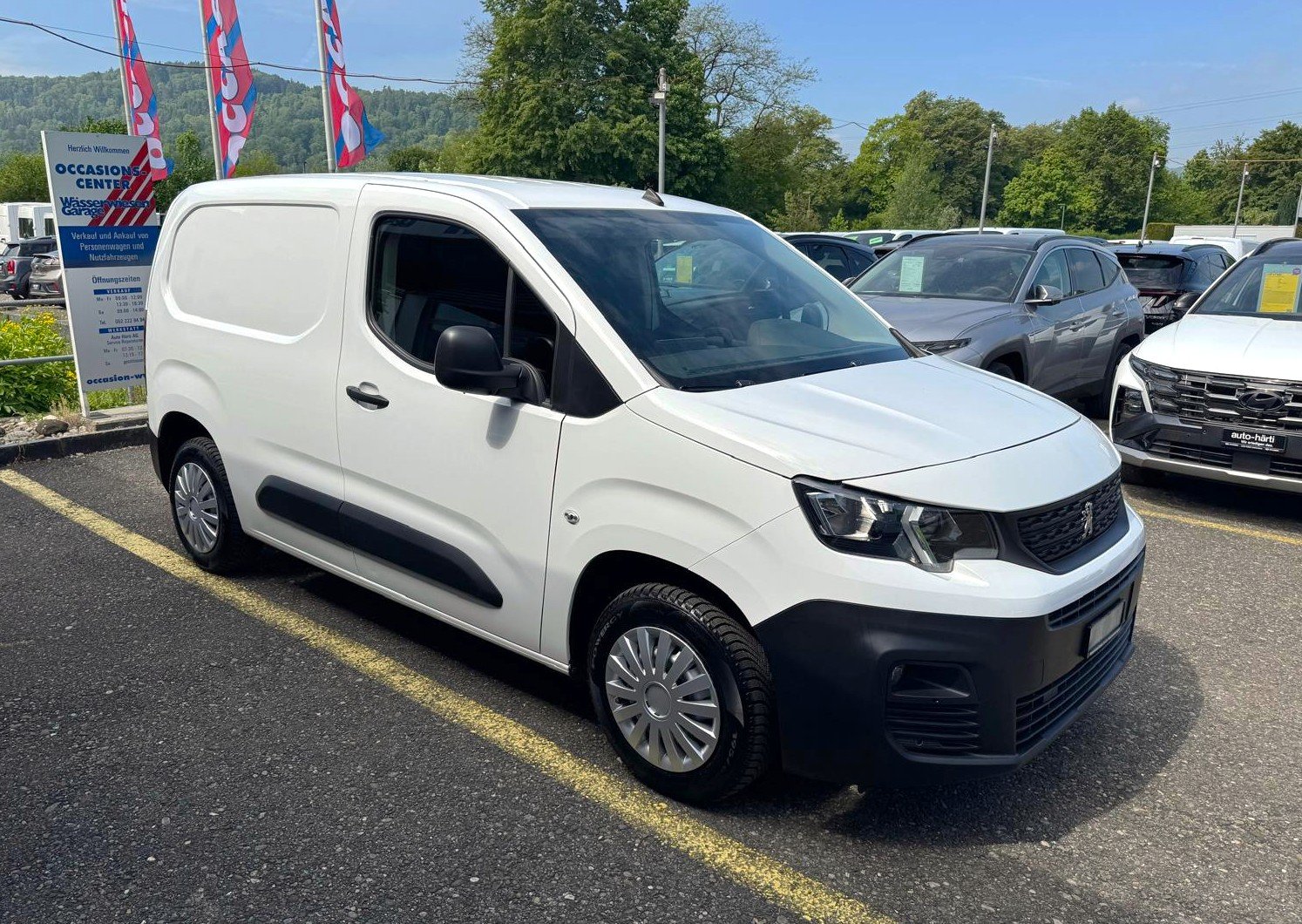 PEUGEOT Blue HDi 75 Pro L1, Diesel, Occasioni / Usate, Manuale - 7