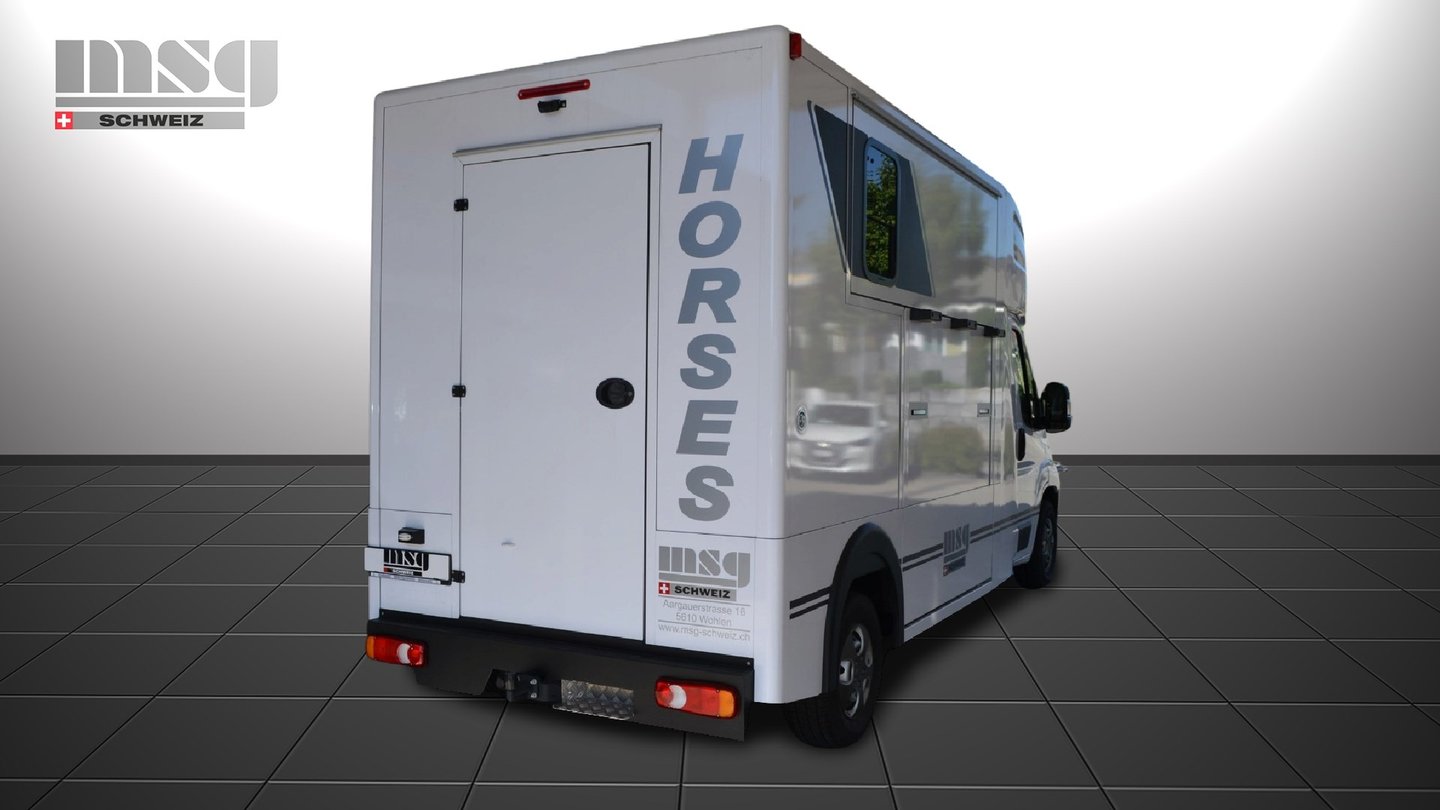 PEUGEOT Pferdetransport MSG Light, Diesel, Neuwagen, Handschaltung - 4