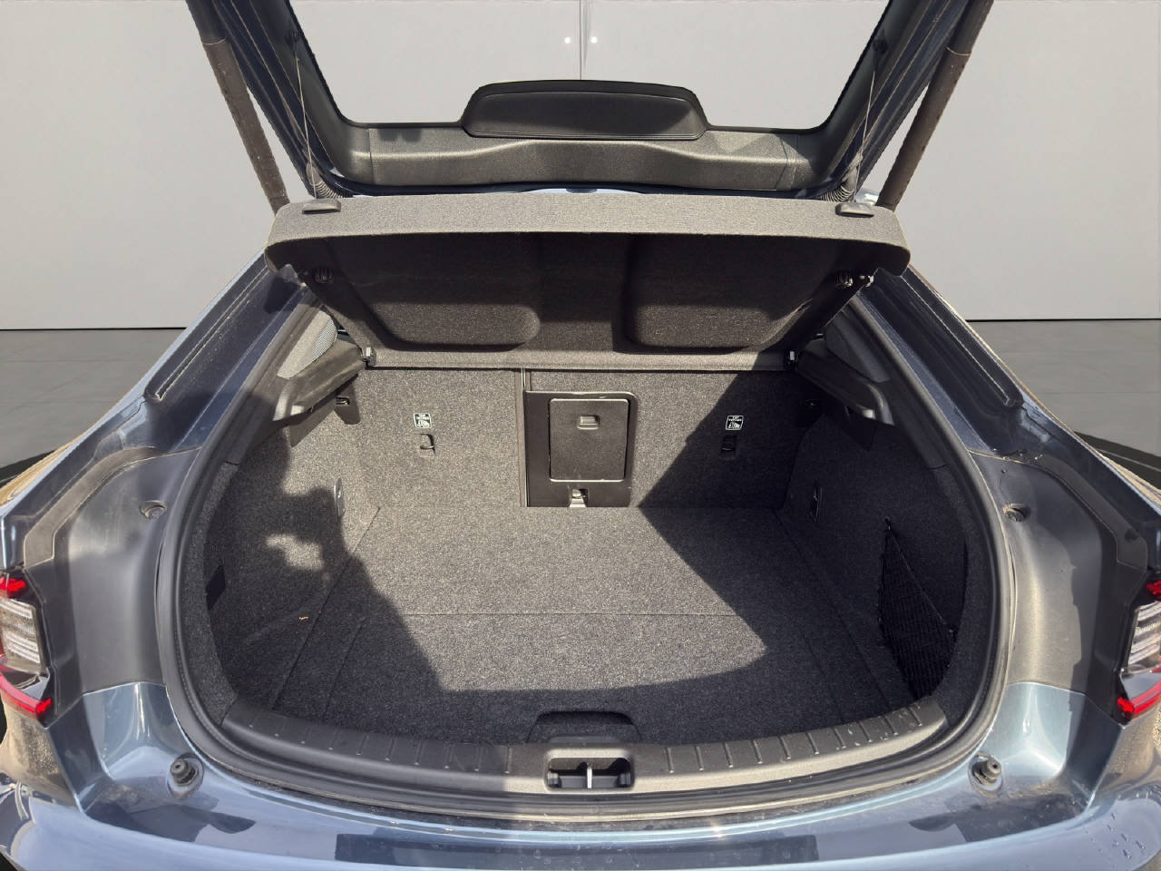 POLESTAR 2 Long Range Dual Motor Performance, Elektro, Occasion / Gebraucht, Automat - 7