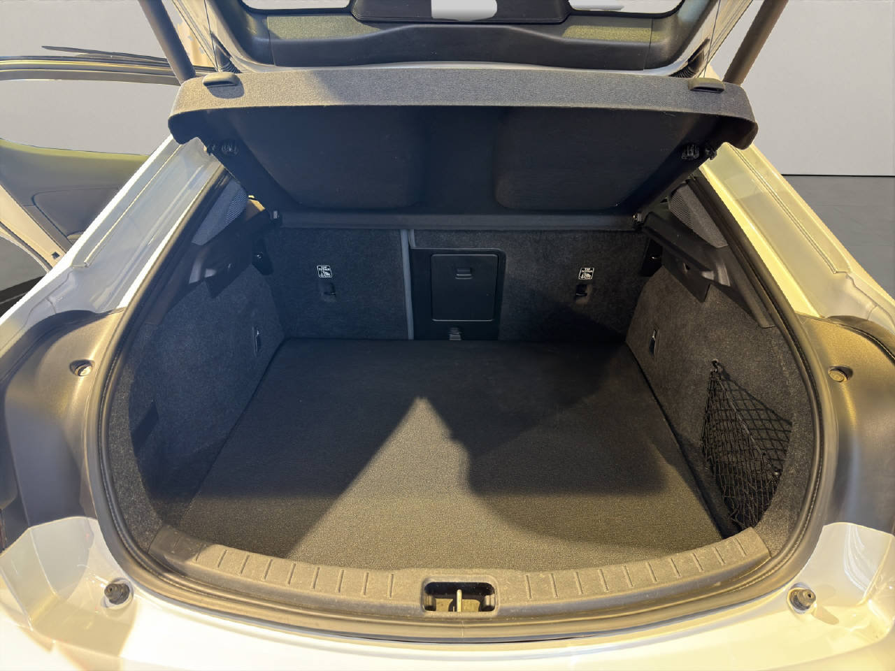 POLESTAR 2 Long Range Dual Motor Performance, Elektro, Occasion / Gebraucht, Automatik - 7