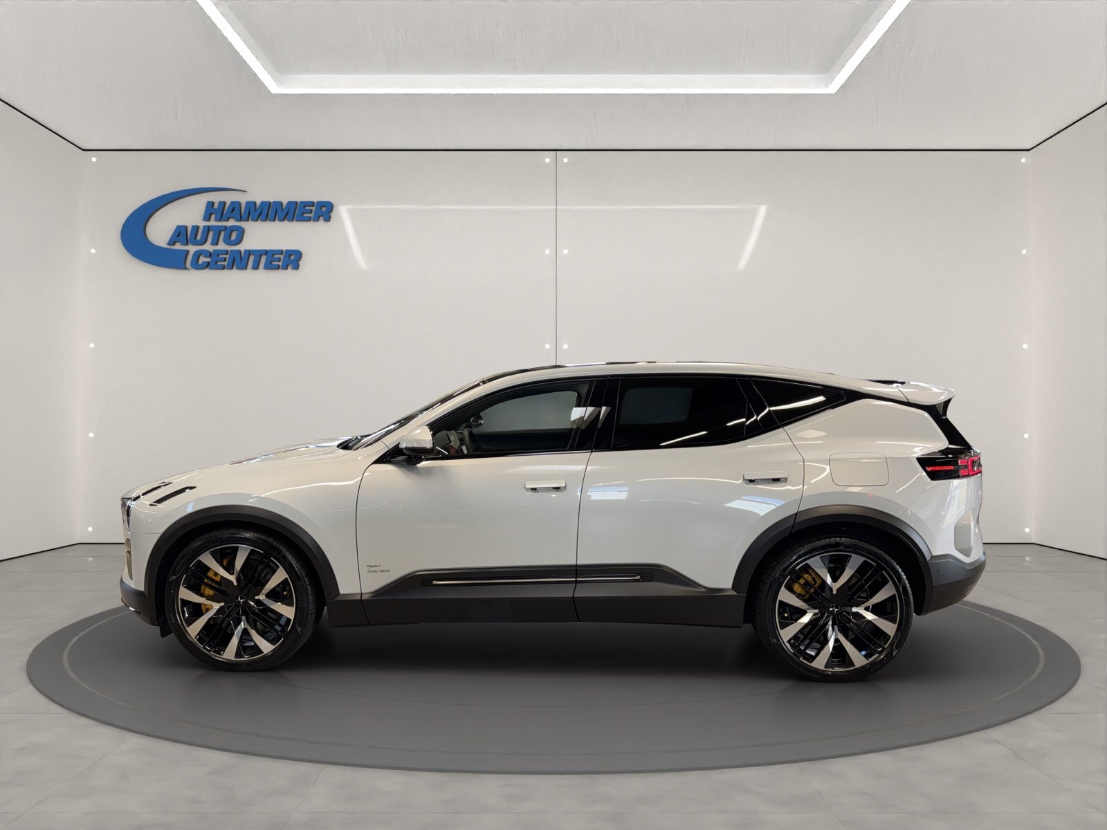 POLESTAR 3 Long Range Dual Motor Performance, Elettrica, Occasioni / Usate, Automatico - 3