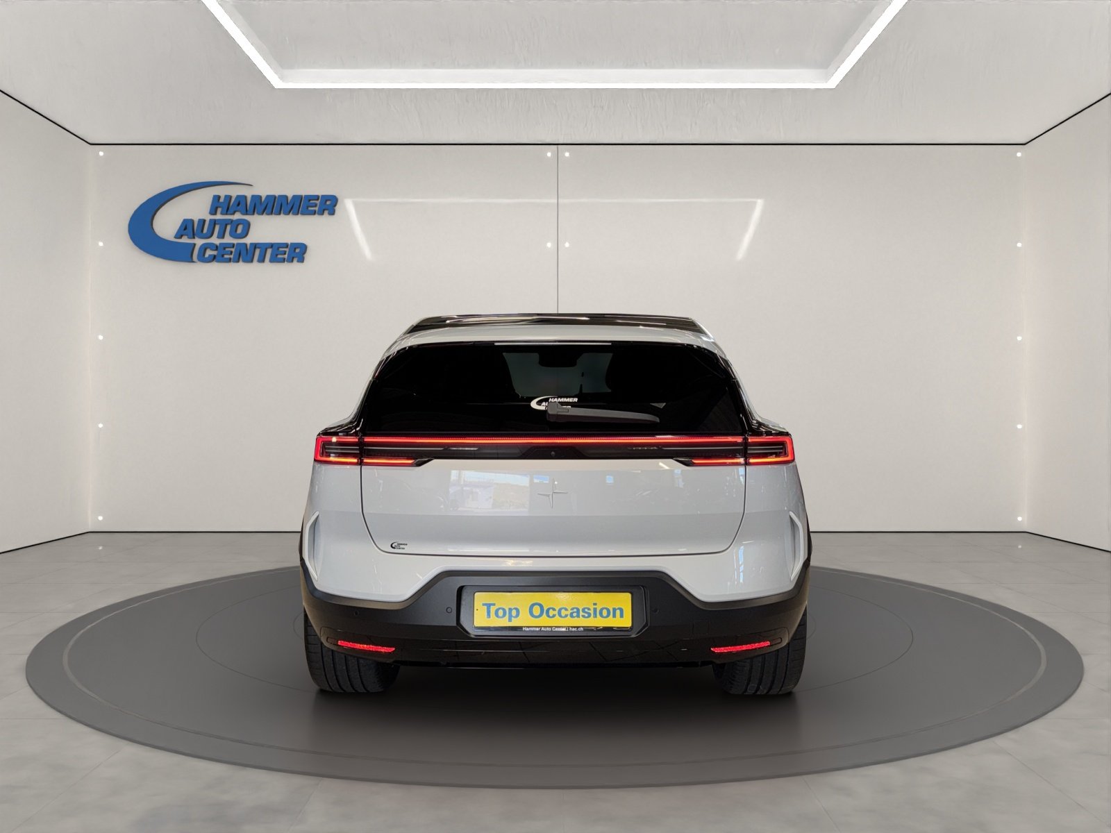 POLESTAR 3 Long Range Dual Motor Performance, Elettrica, Occasioni / Usate, Automatico - 5