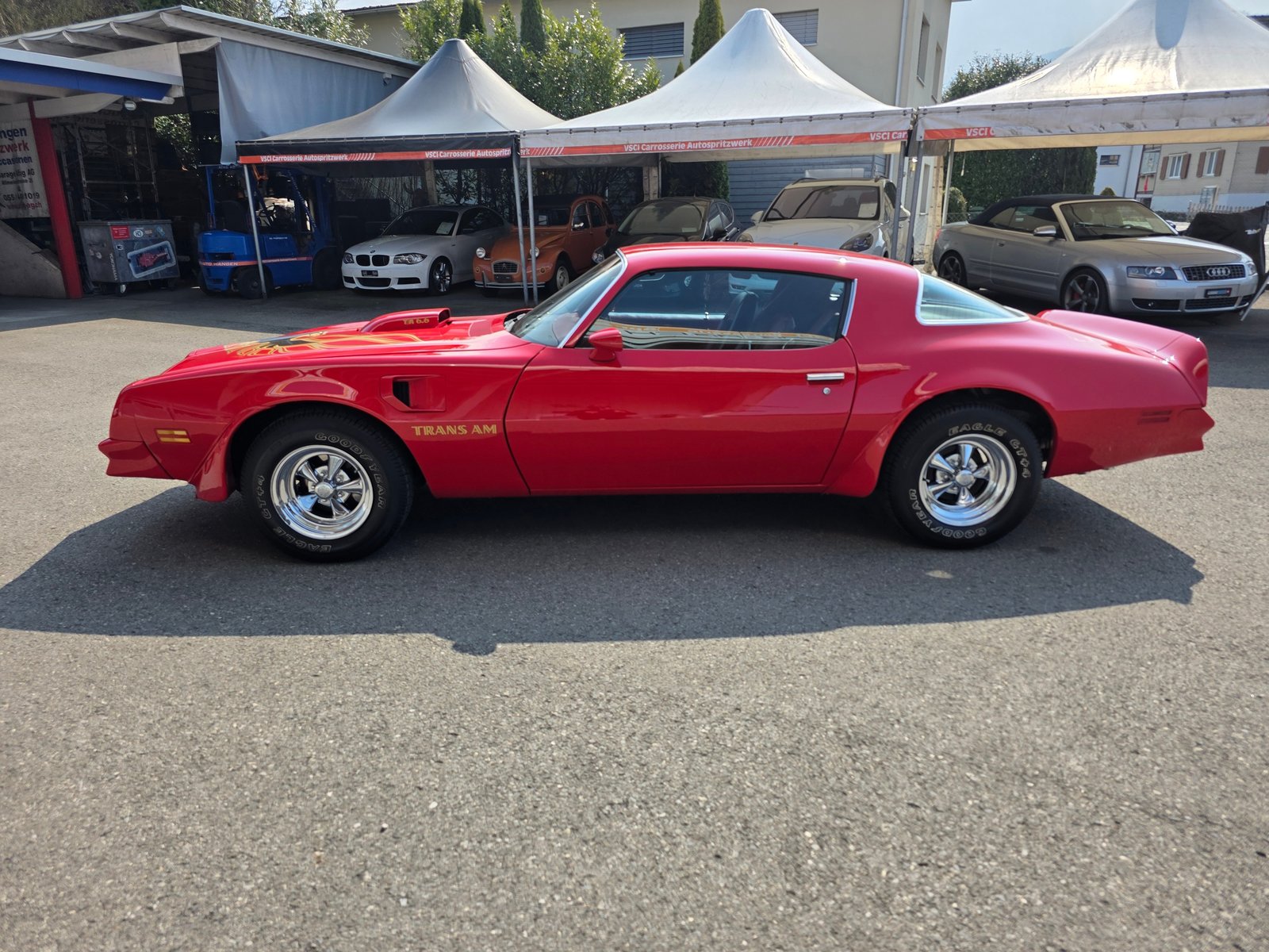 PONTIAC Trans Am 6.6 T/A, Second hand / Used, Manual - 3