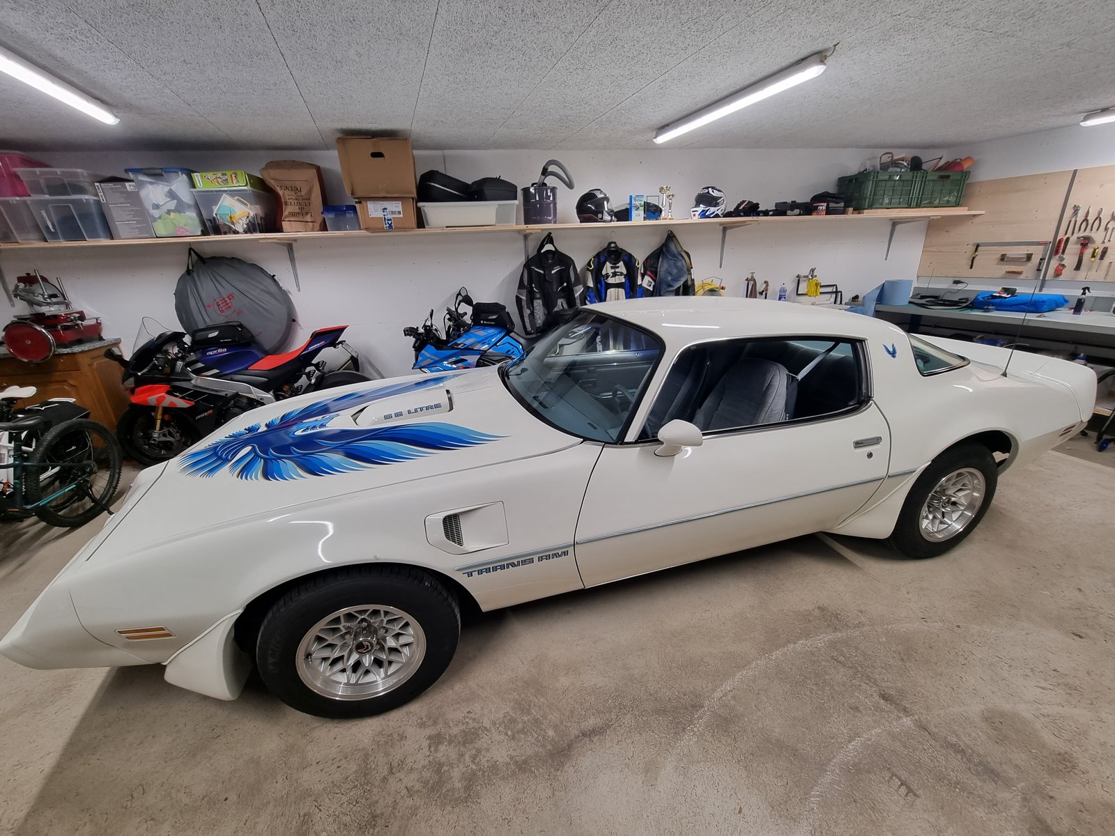 PONTIAC Transam 6.6 V8 Veteran, Essence, Occasion / Utilisé, Automatique - 3