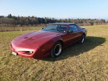 PONTIAC Firebird 5.0 V8 Trans Am, Benzina, Occasioni / Usate, Automatico - 3