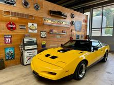 PONTIAC Firebird 5.0 V8 Trans Am, Benzina, Occasioni / Usate, Automatico - 2