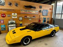 PONTIAC Firebird 5.0 V8 Trans Am, Benzina, Occasioni / Usate, Automatico - 4