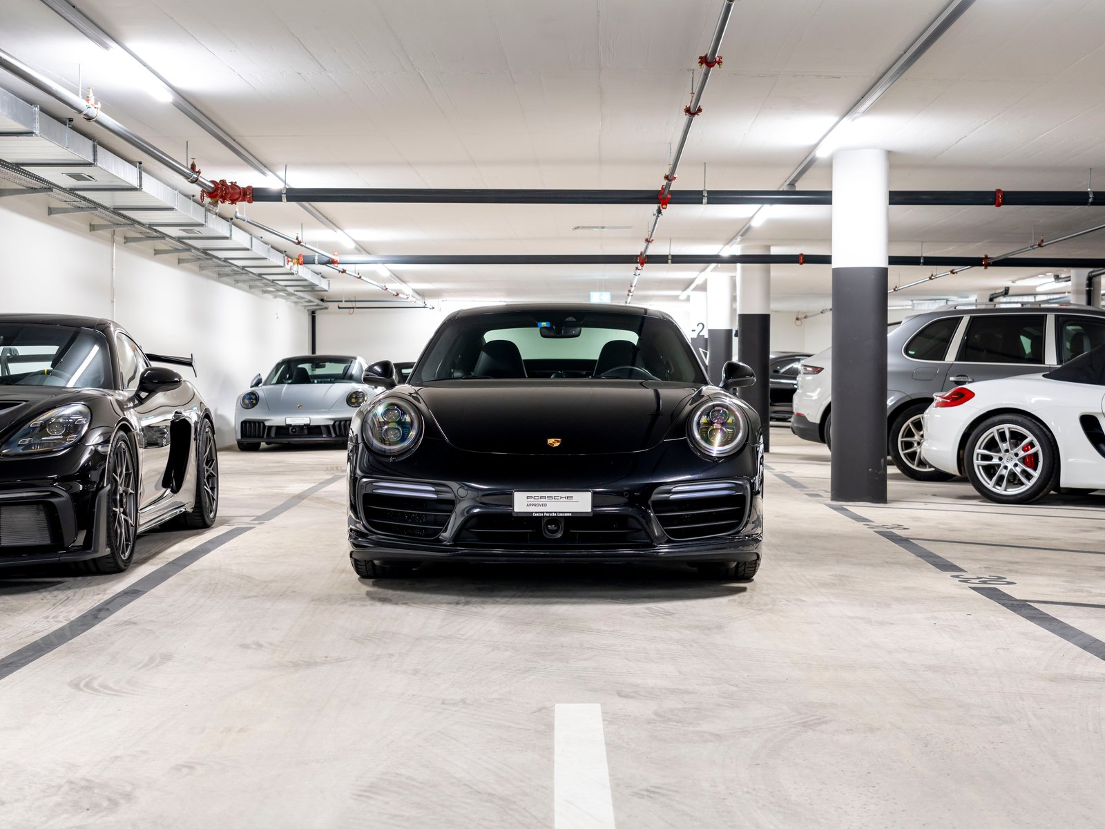 PORSCHE 911 Turbo S PDK, Benzina, Occasioni / Usate, Automatico - 4
