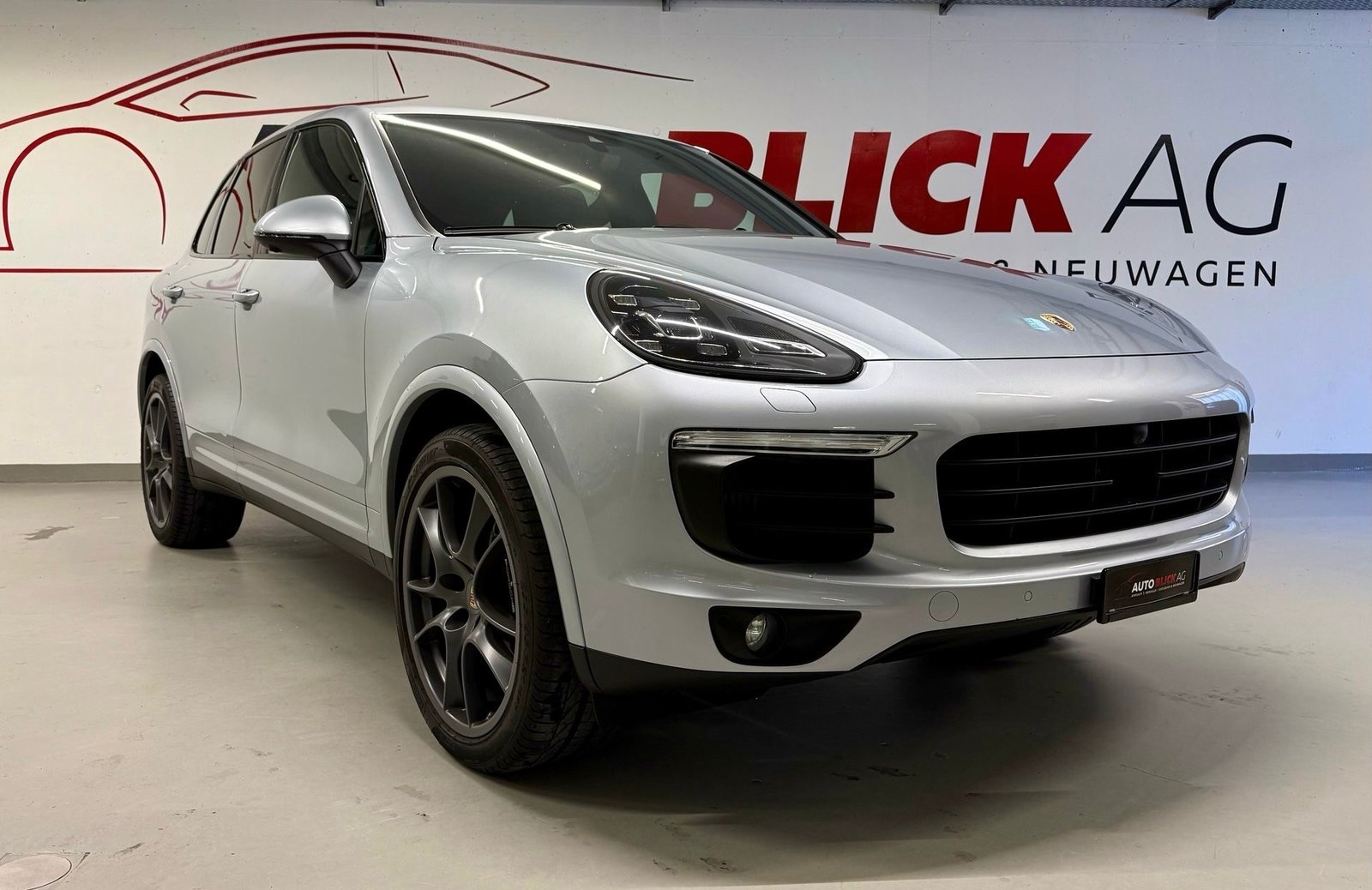 PORSCHE Cayenne Diesel Platinum Edition, Diesel, Occasioni / Usate, Automatico - 2