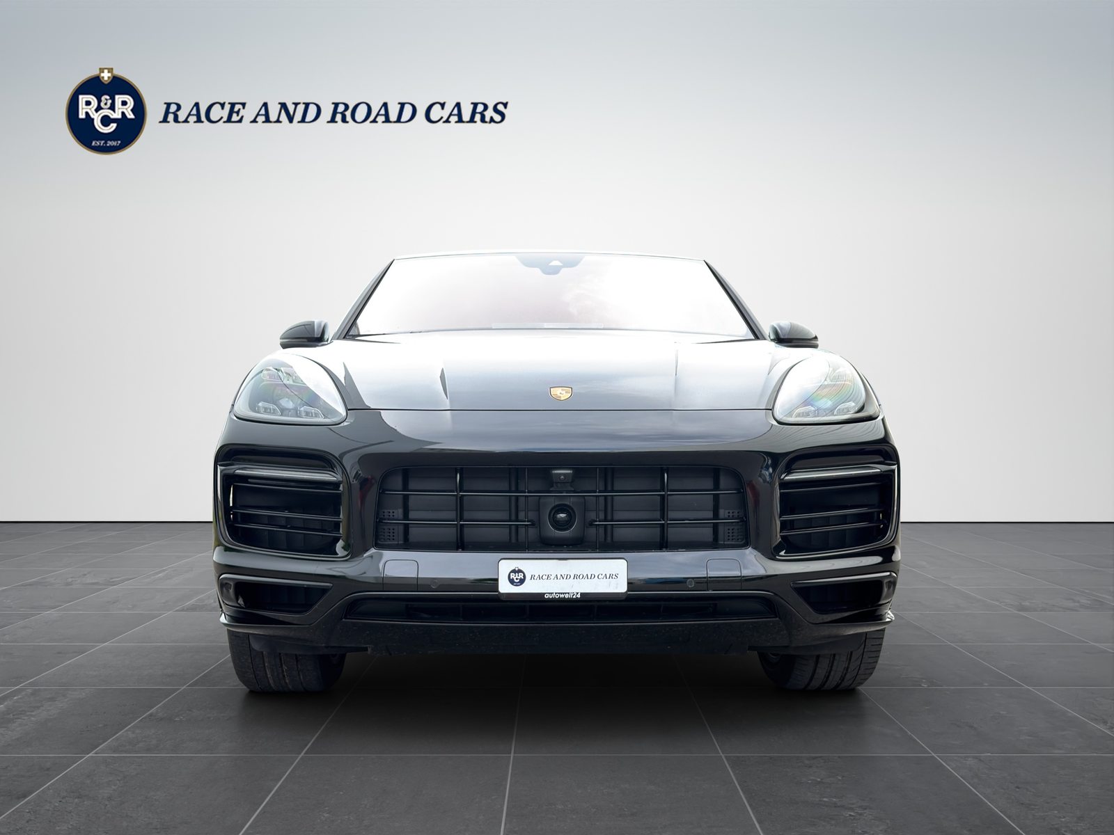 PORSCHE Cayenne Coupé 2.9 V6 S Platinum Edition, Benzina, Occasioni / Usate, Automatico - 2