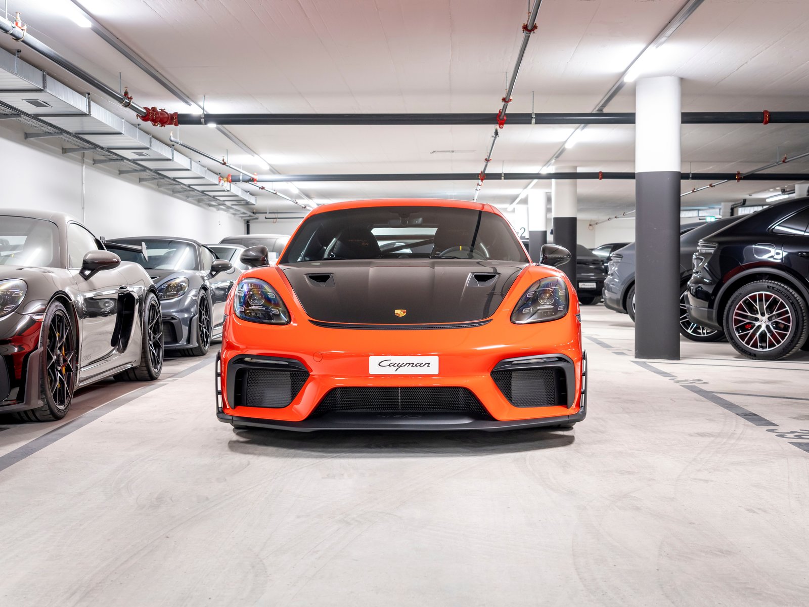 PORSCHE 718 Cayman GT4 RS PDK, Essence, Voiture nouvelle, Automatique - 4
