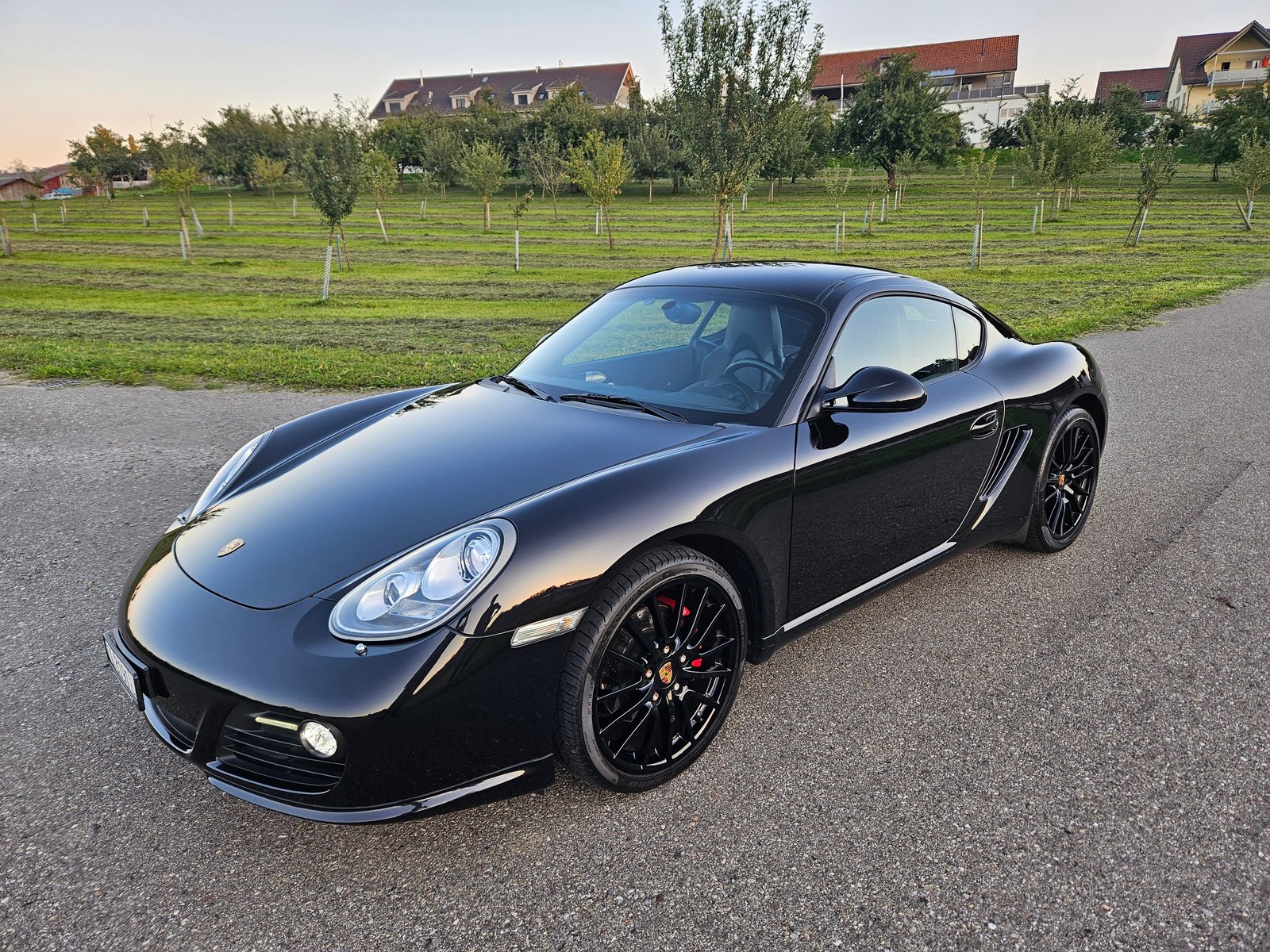 PORSCHE Cayman S 3.4, Essence, Occasion / Utilisé, Manuelle - 5