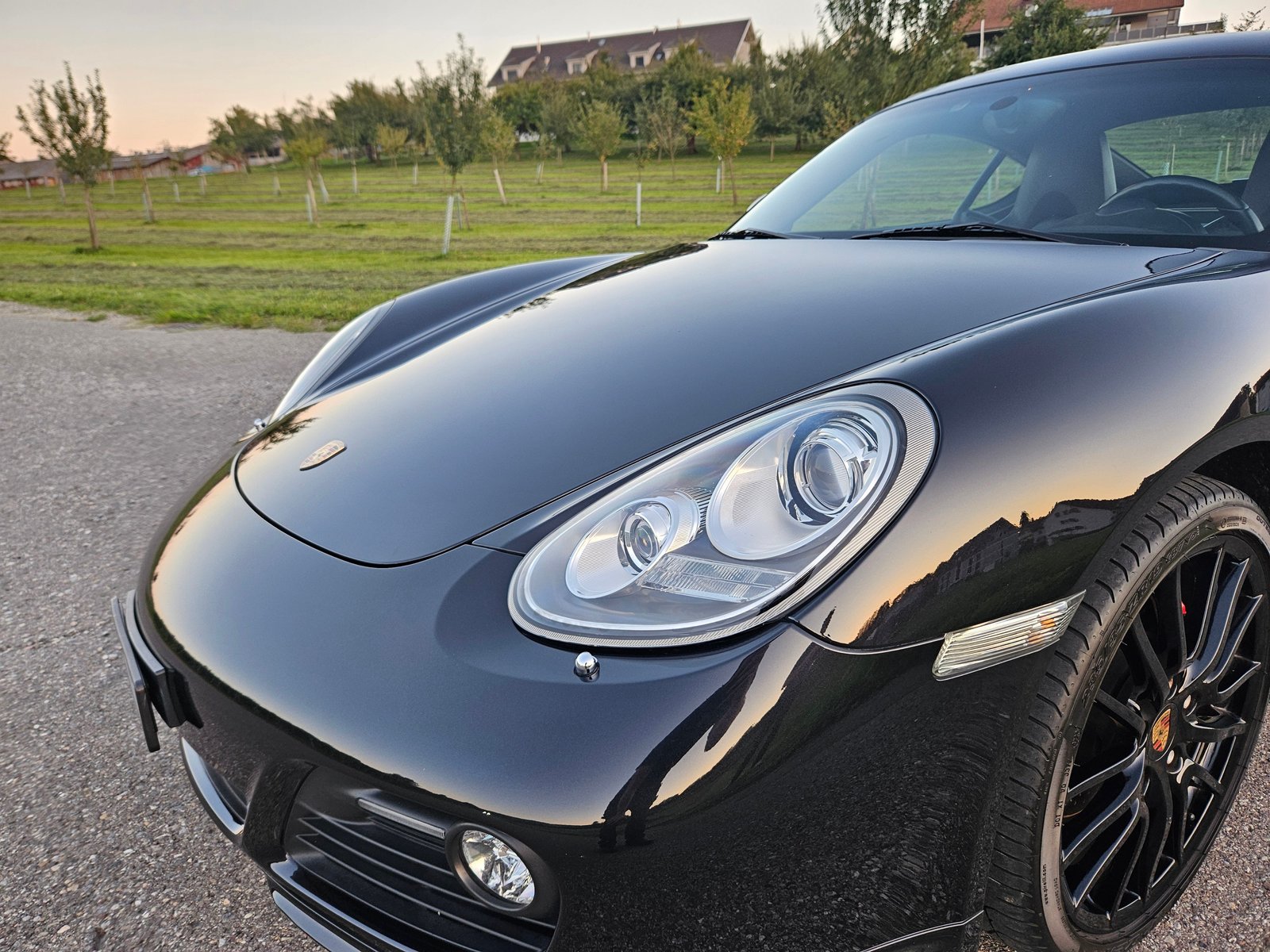 PORSCHE Cayman S 3.4, Essence, Occasion / Utilisé, Manuelle - 7