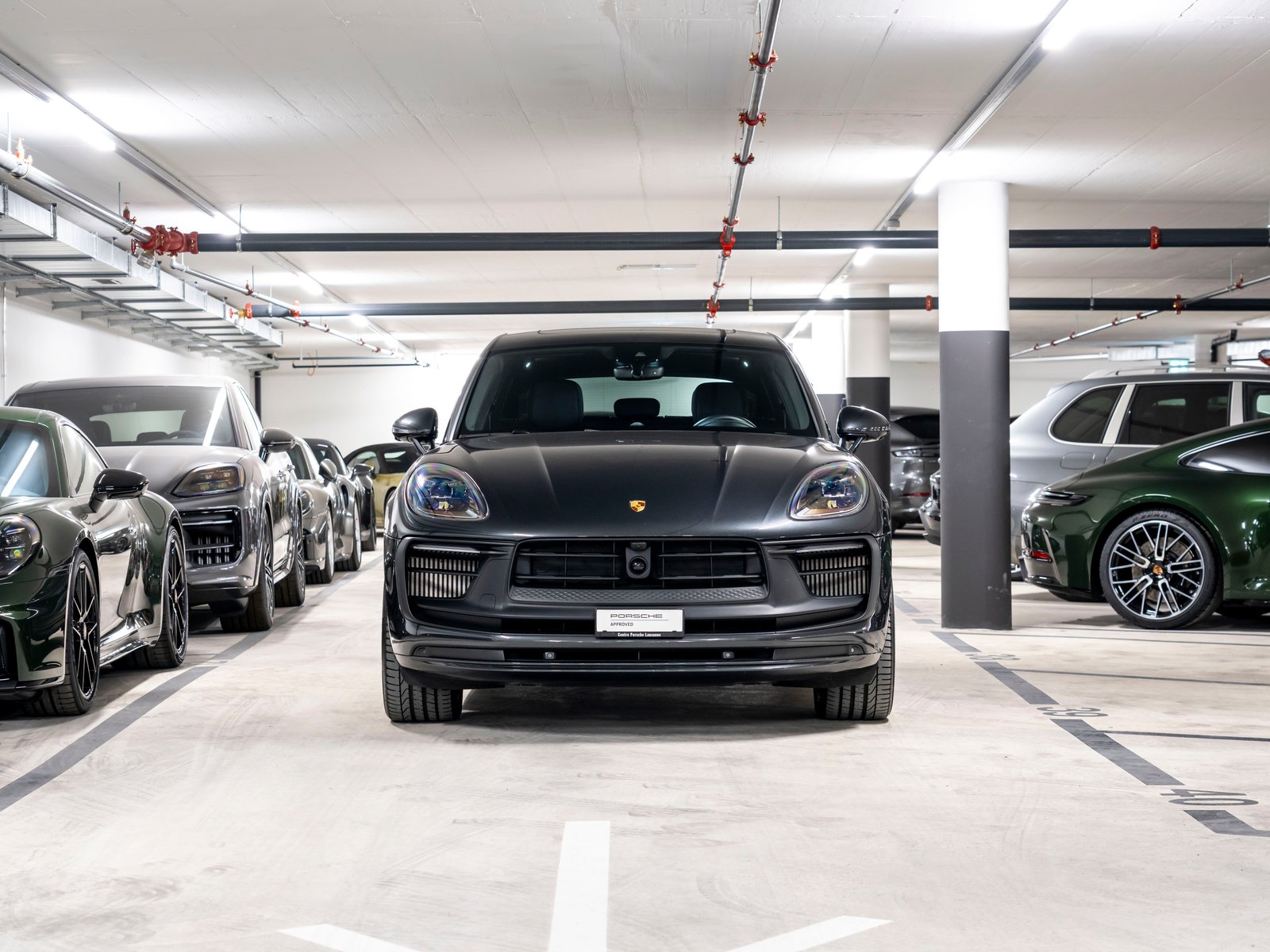 PORSCHE Macan GTS PDK, Essence, Occasion / Utilisé, Automatique - 4