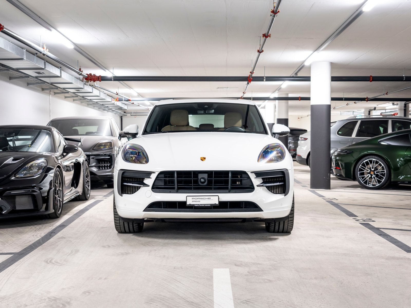 PORSCHE Macan GTS PDK, Essence, Occasion / Utilisé, Automatique - 4