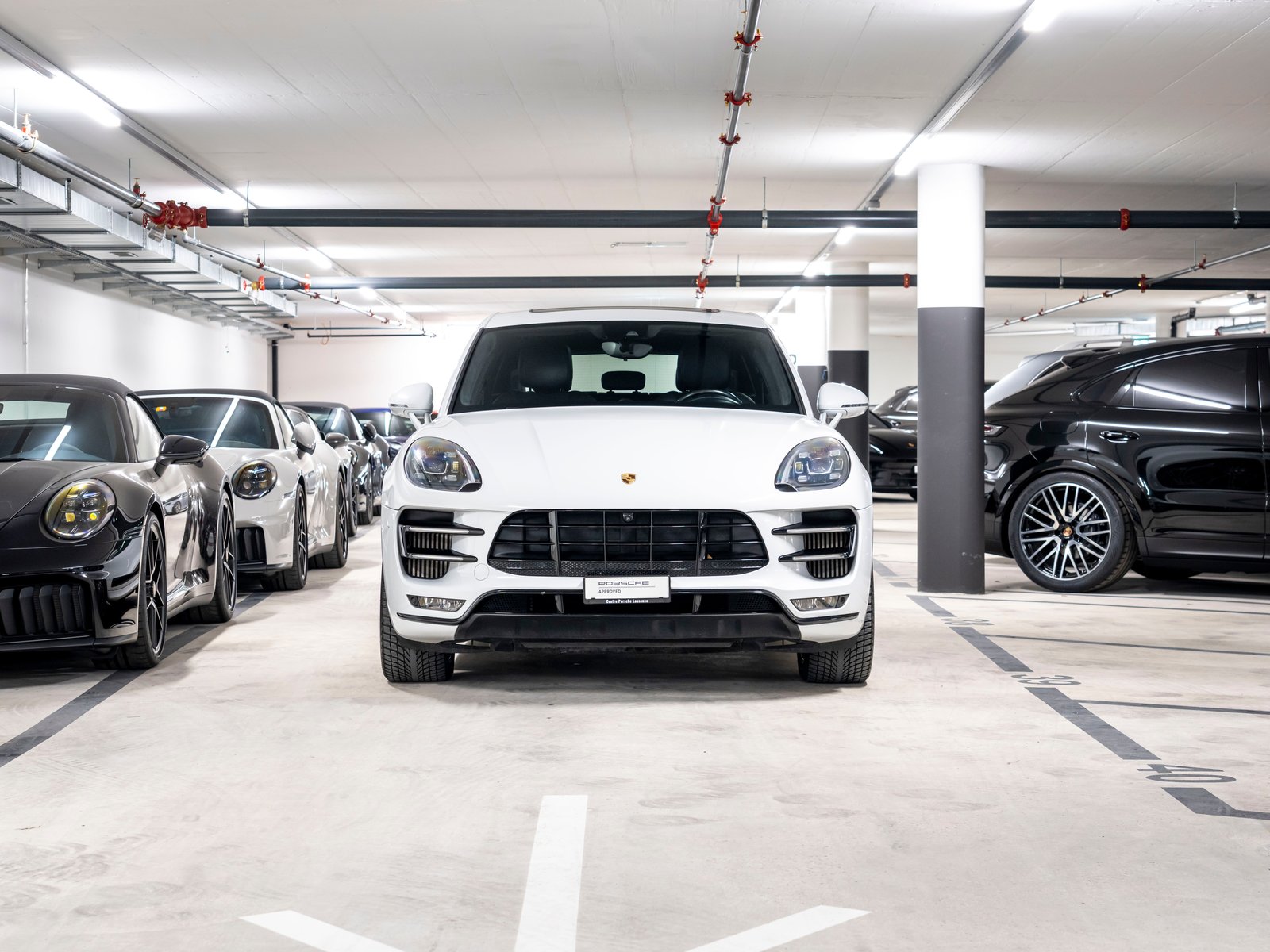 PORSCHE Macan Turbo Performance PDK, Benzin, Occasion / Gebraucht, Automat - 4