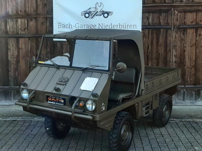 PUCH Steyr -Puch Haflinger, Benzina, Occasioni / Usate, Manuale