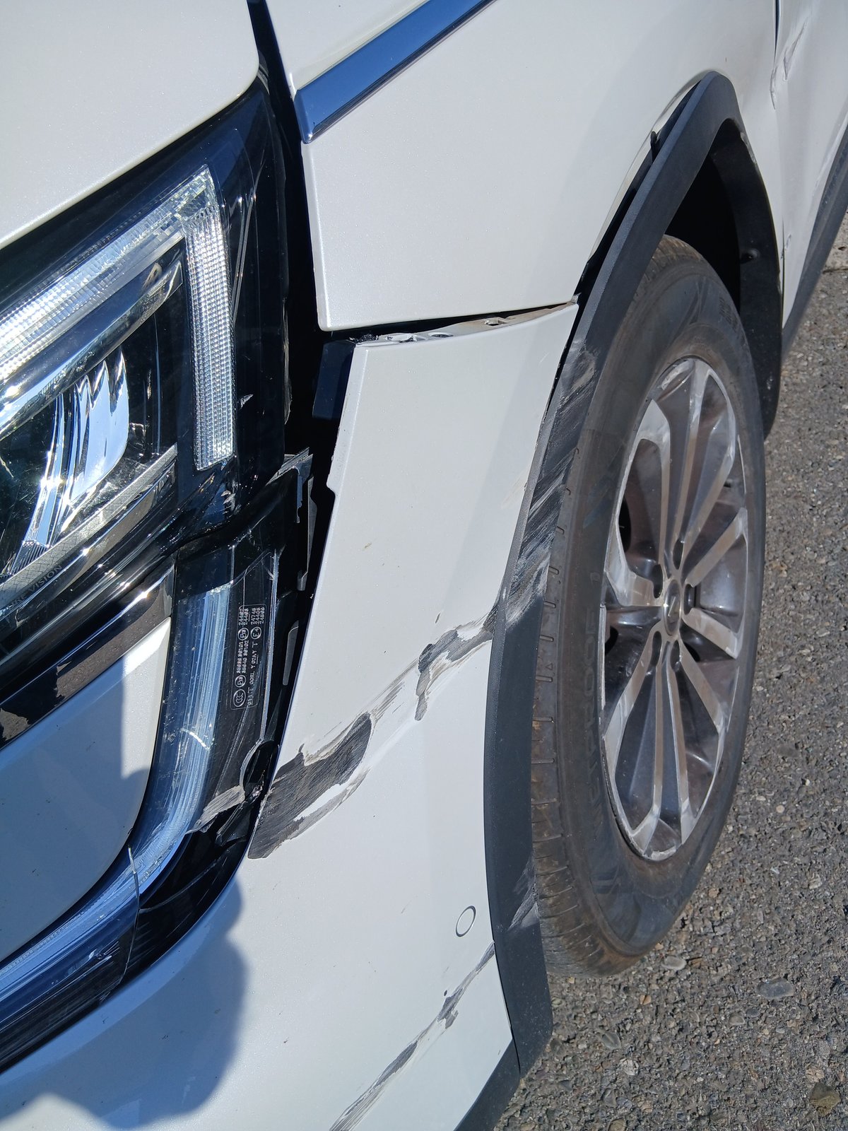 RENAULT Koleos 2.0 dCi Intens 4WD Xtronic CVT, Diesel, Occasion / Utilisé, Automatique - 7
