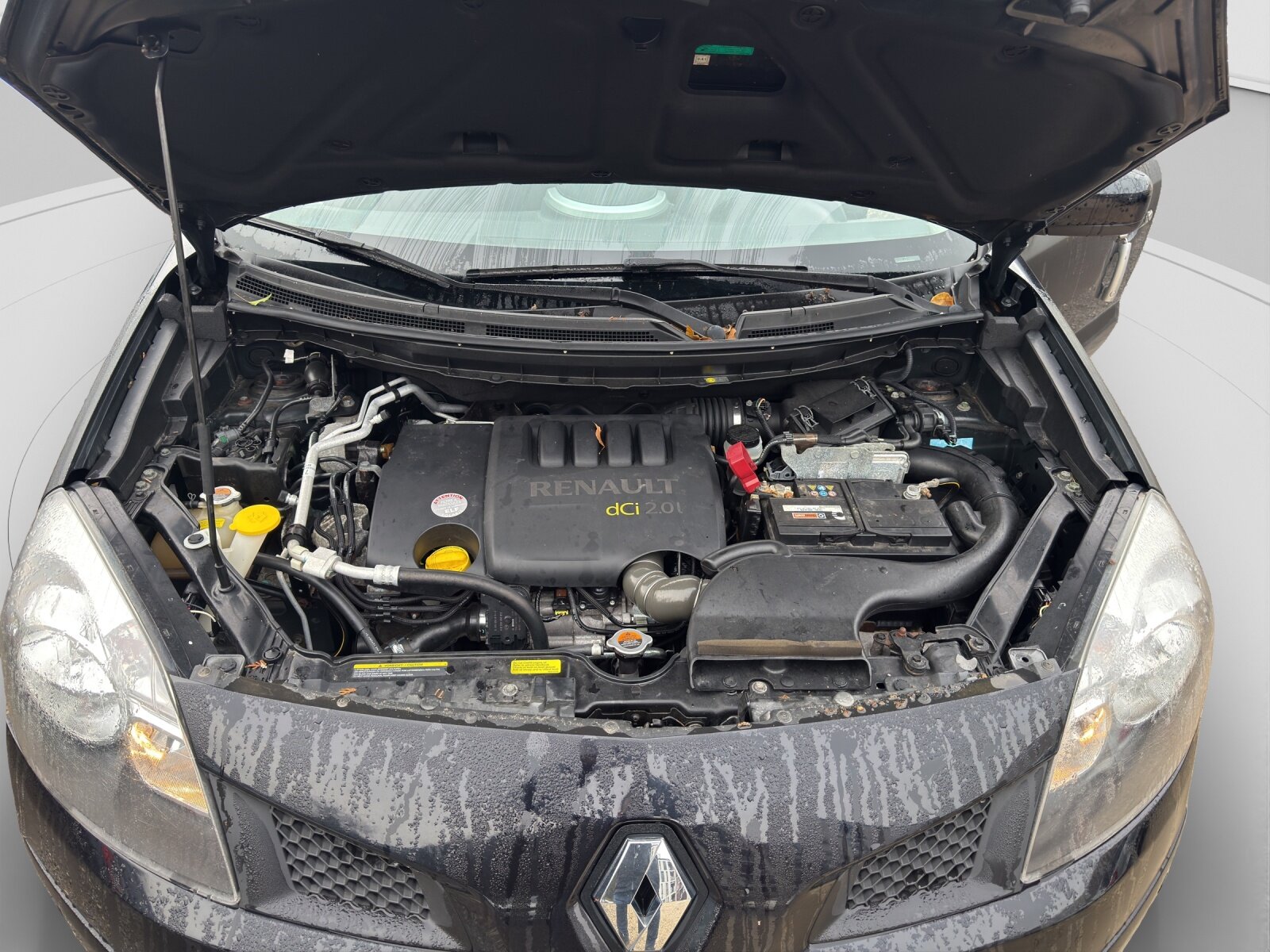 RENAULT Koleos 2.0 dCi Dynamique 4x4, Diesel, Occasion / Gebraucht, Handschaltung - 5