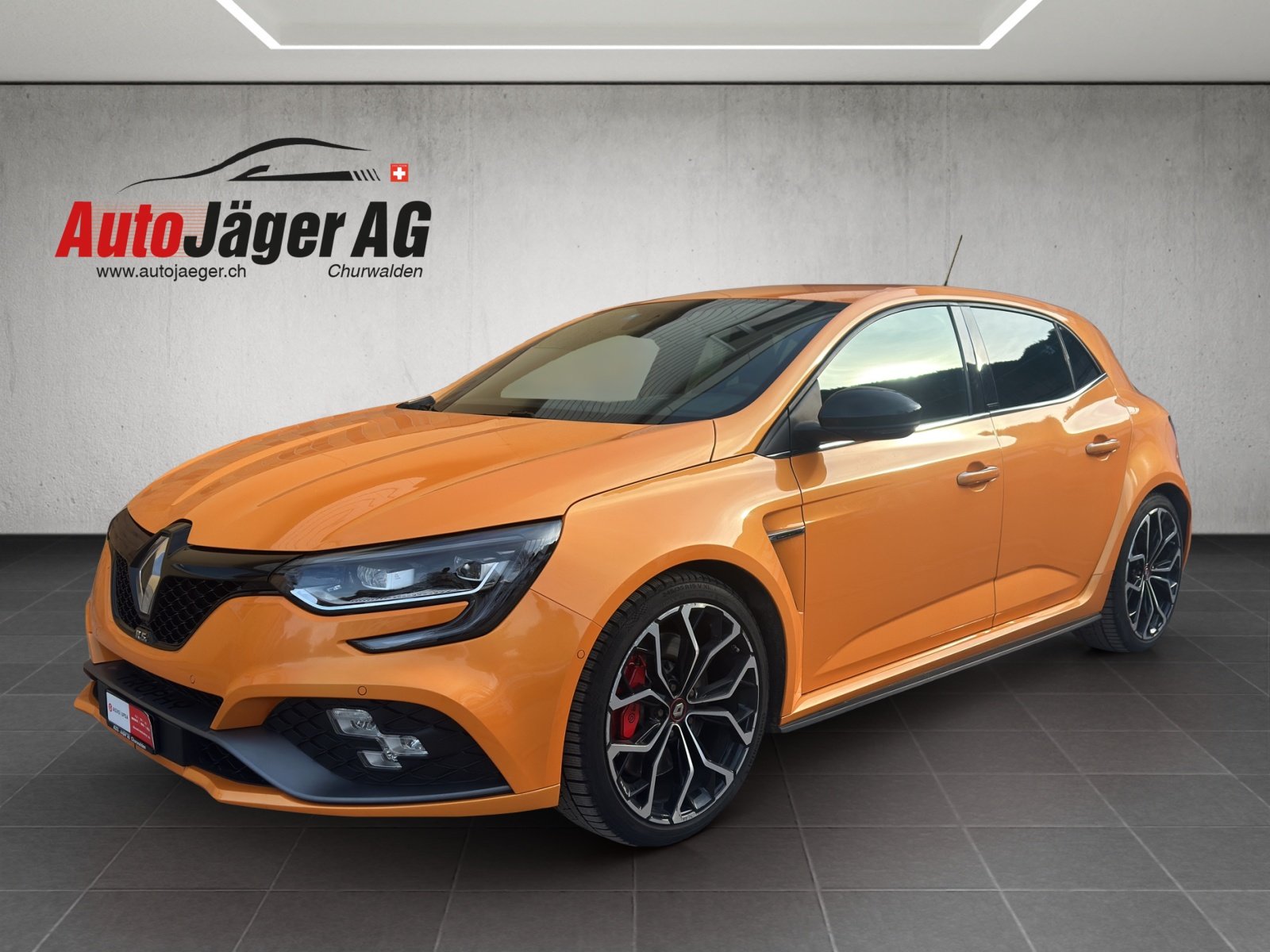RENAULT Mégane Trophy 300, Essence, Occasion / Utilisé, Manuelle - 2