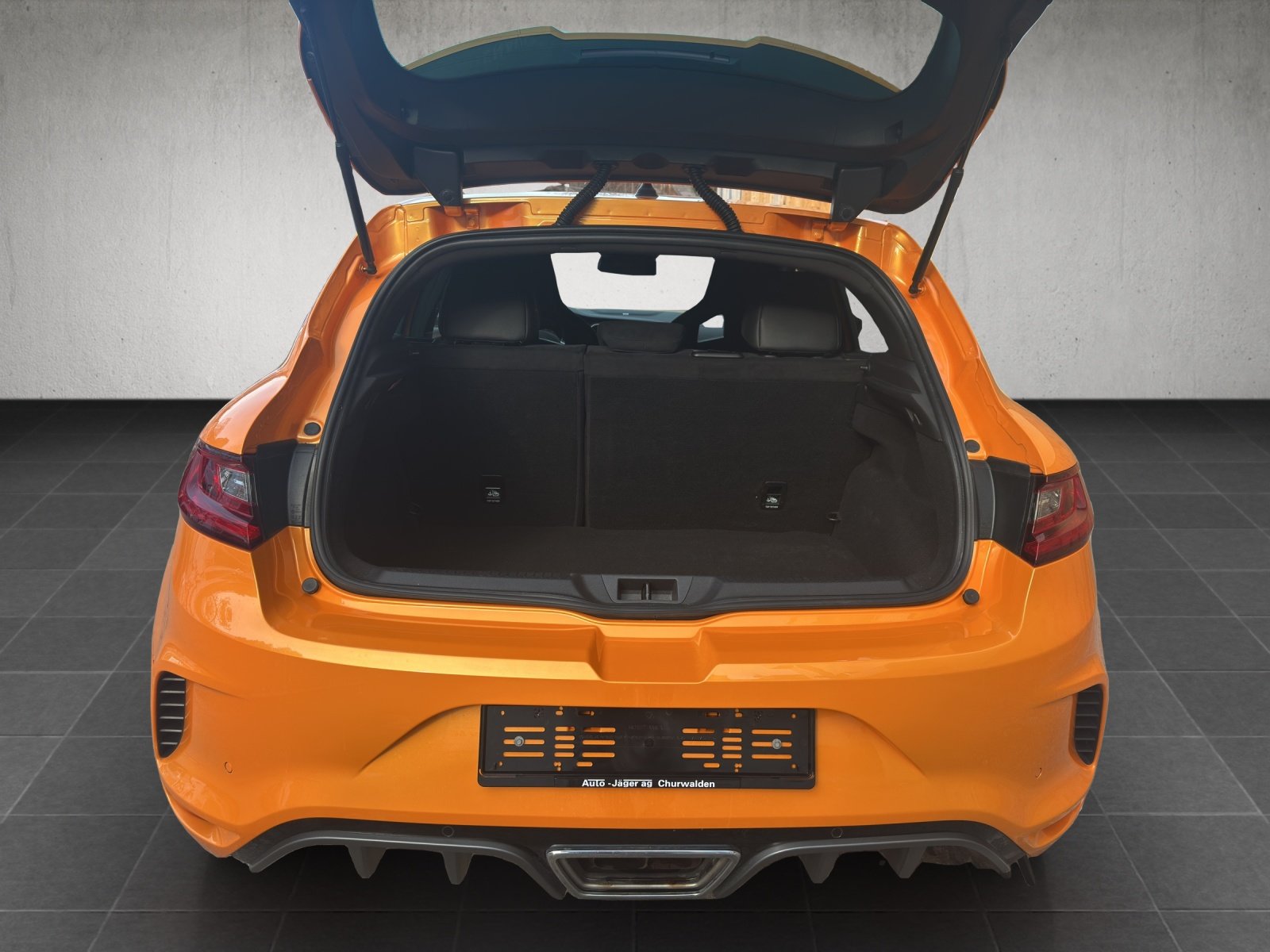 RENAULT Mégane Trophy 300, Essence, Occasion / Utilisé, Manuelle - 6