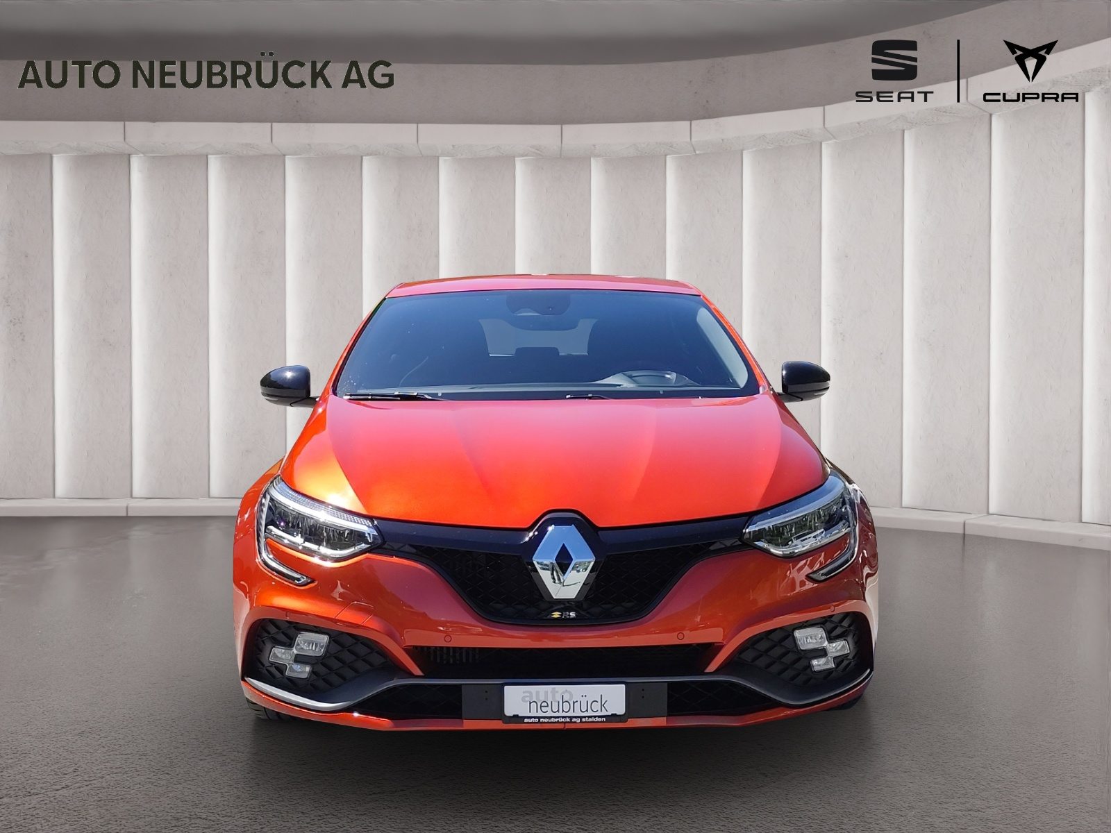 RENAULT Mégane Trophy 300, Essence, Occasion / Utilisé, Automatique - 6