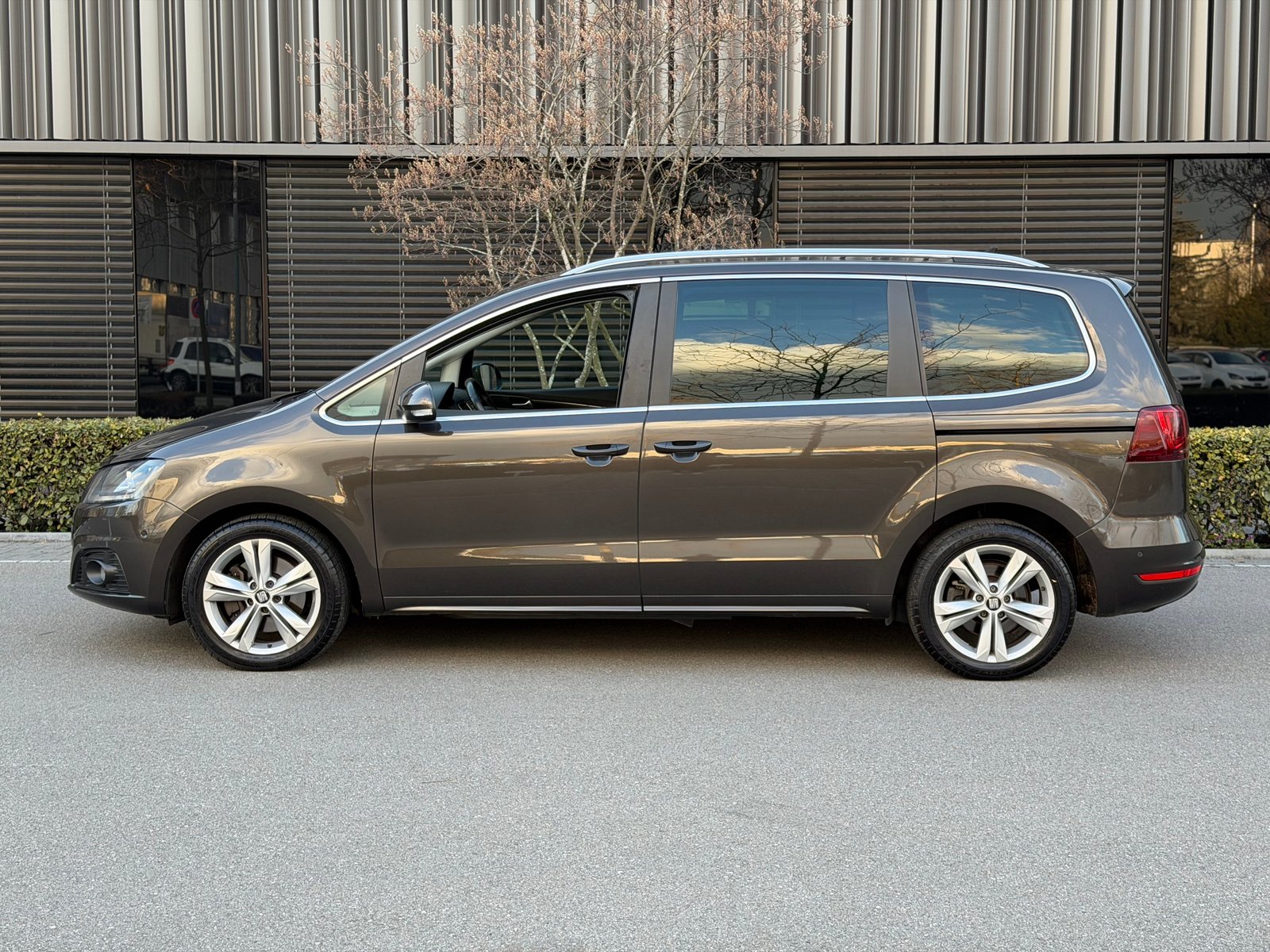 SEAT Alhambra 2.0 TDI Style Advanced 4Drive, Diesel, Occasion / Utilisé, Manuelle - 7