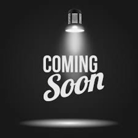 SEAT Arona 1.0 TSI Eco Style DSG