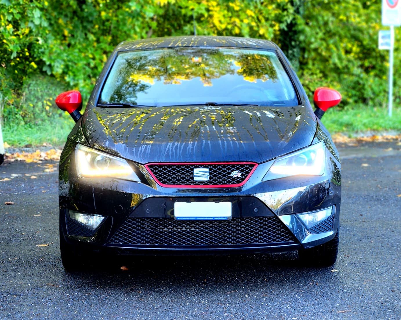 SEAT Ibiza 1.4 EcoTSI FR Line, Essence, Occasion / Utilisé, Manuelle - 2