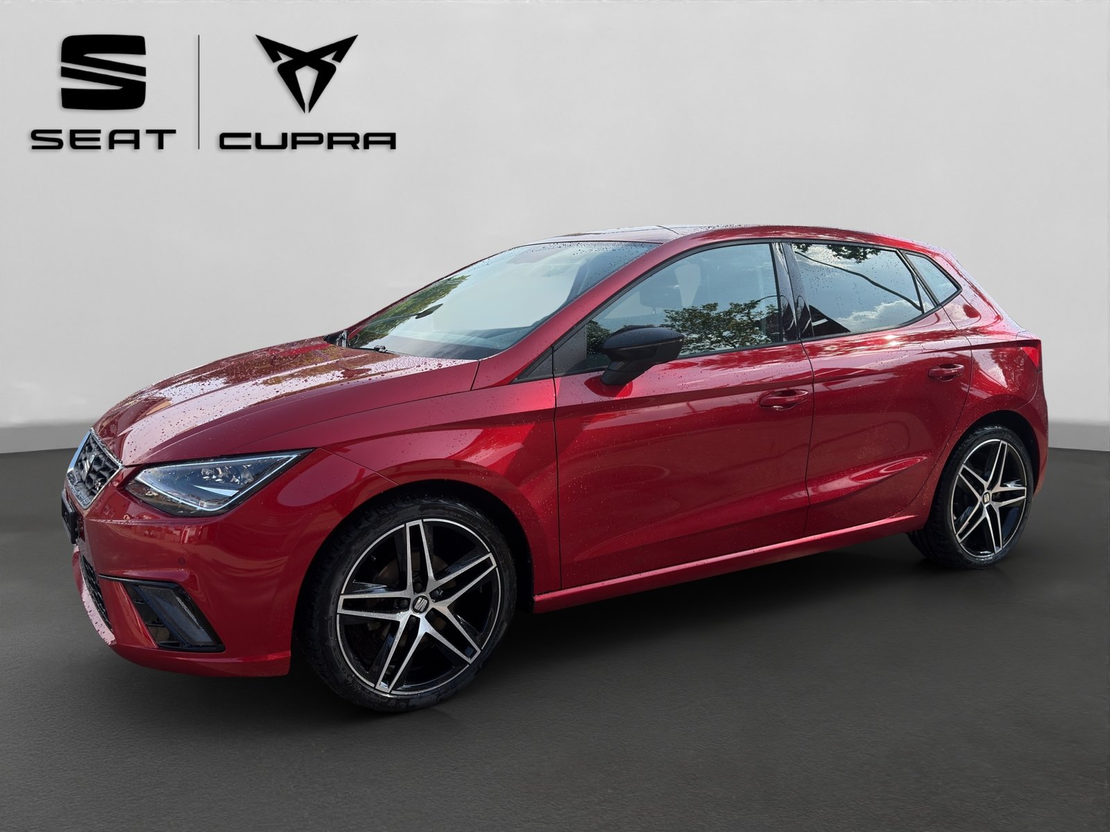 SEAT Ibiza 1.0 EcoTSI DSG Swiss FR, Benzina, Occasioni / Usate, Automatico - 2