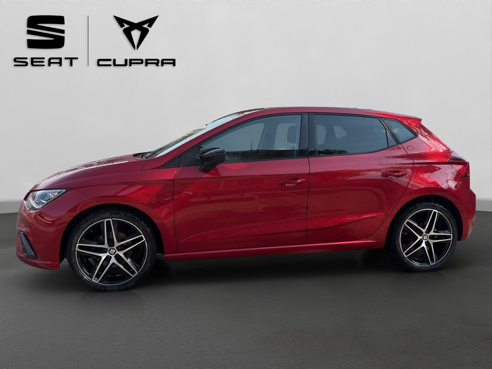 SEAT Ibiza 1.0 EcoTSI DSG Swiss FR, Benzina, Occasioni / Usate, Automatico - 4
