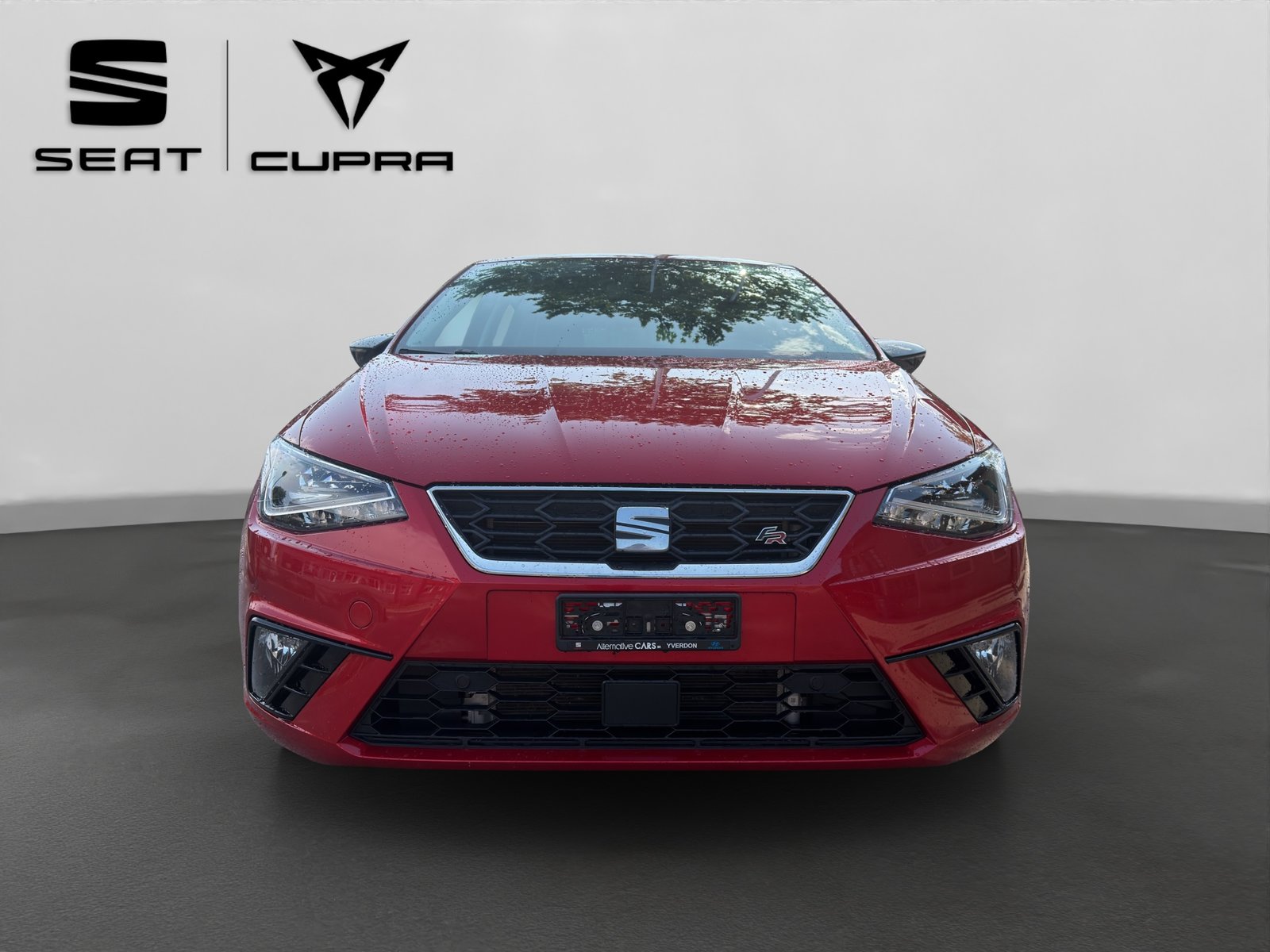SEAT Ibiza 1.0 EcoTSI DSG Swiss FR, Benzina, Occasioni / Usate, Automatico - 5