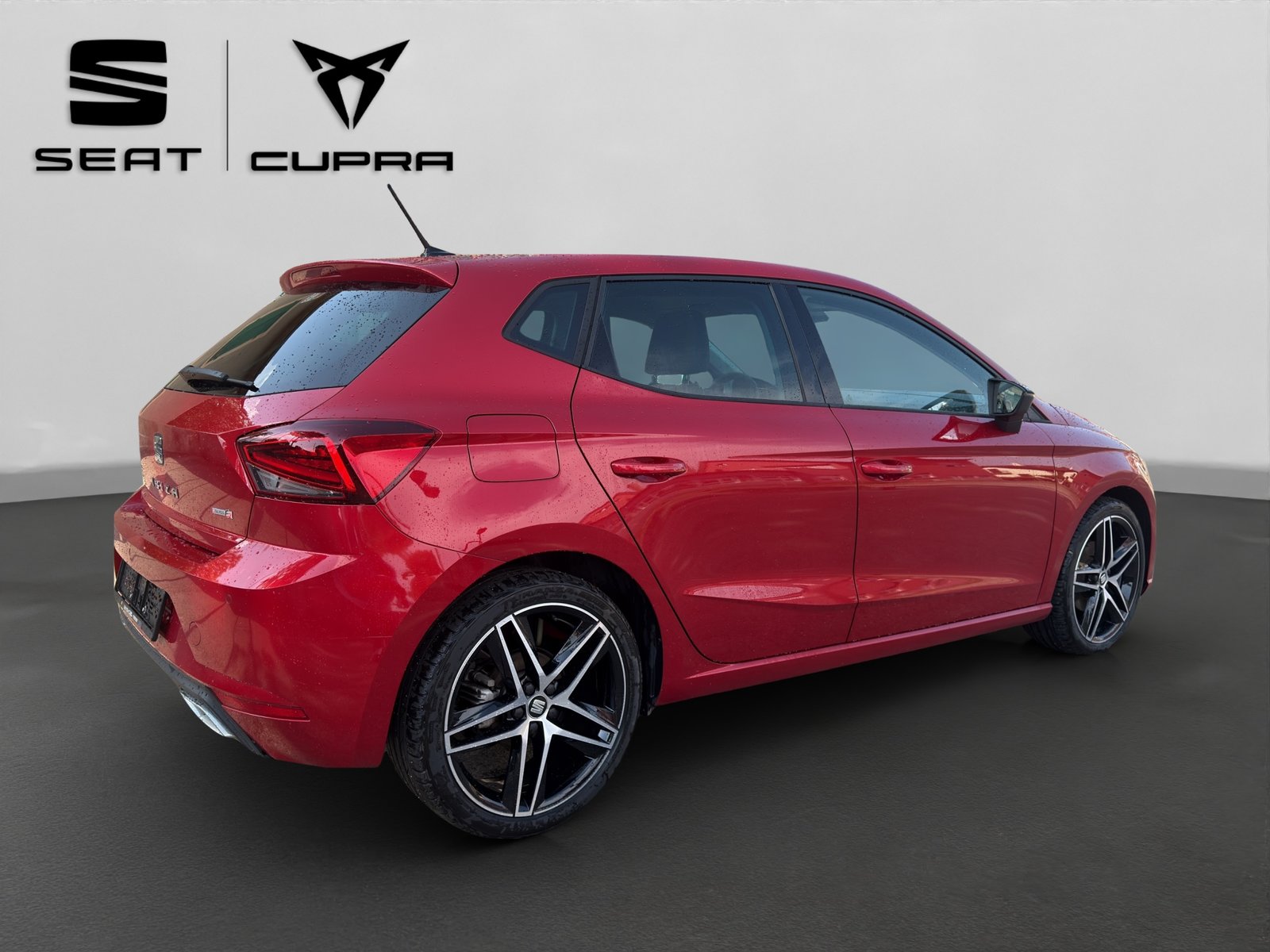 SEAT Ibiza 1.0 EcoTSI DSG Swiss FR, Benzina, Occasioni / Usate, Automatico - 6