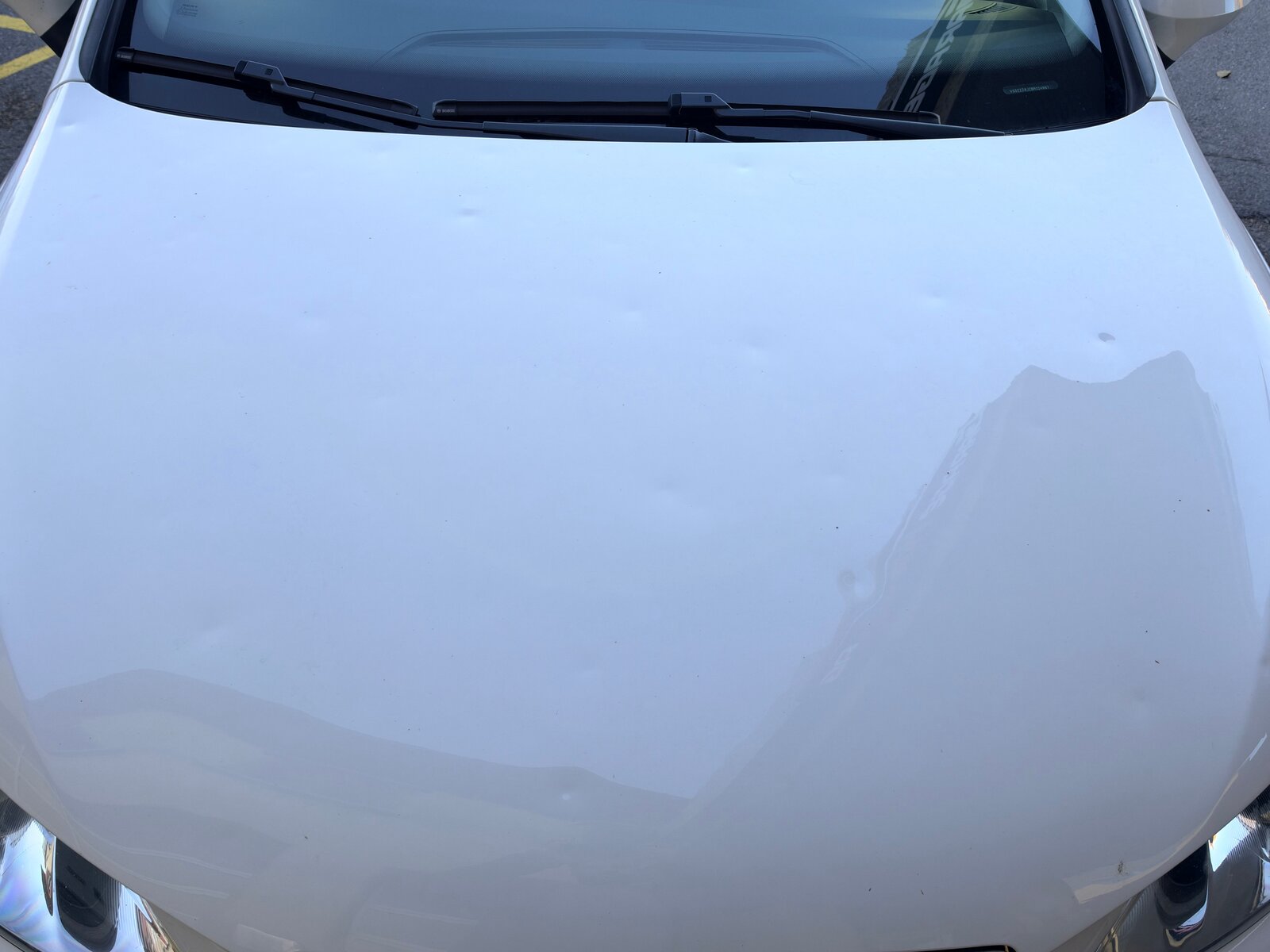 SEAT Ibiza SC 1.6 Sport, Essence, Occasion / Utilisé, Manuelle - 3