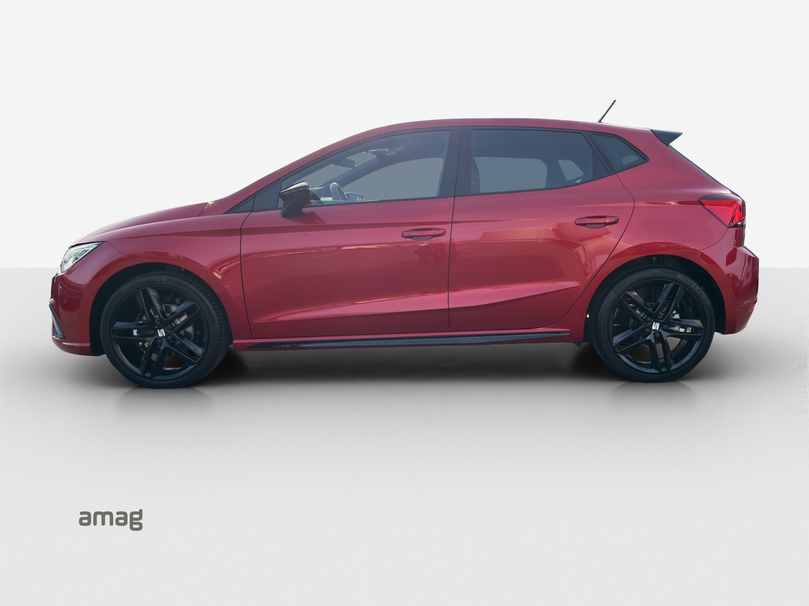 SEAT IBIZA 75EDITION (netto), Benzina, Occasioni / Usate, Automatico - 2