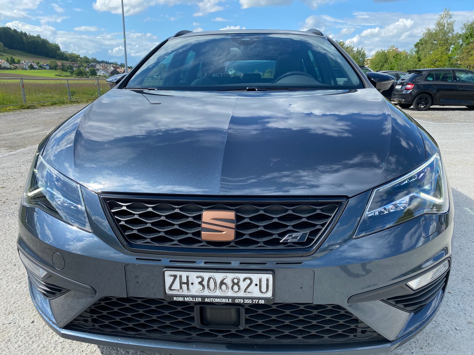 SEAT Leon ST 2.0 Eco TSI Swiss 4Drive DSG, Benzina, Occasioni / Usate, Automatico - 4