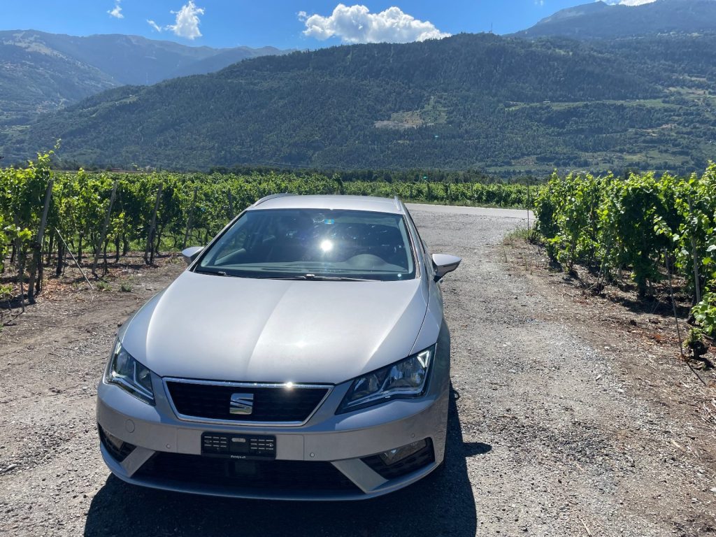 SEAT LEON 1.6 TDI 115 Reference DSG, Diesel, Occasioni / Usate, Automatico - 2