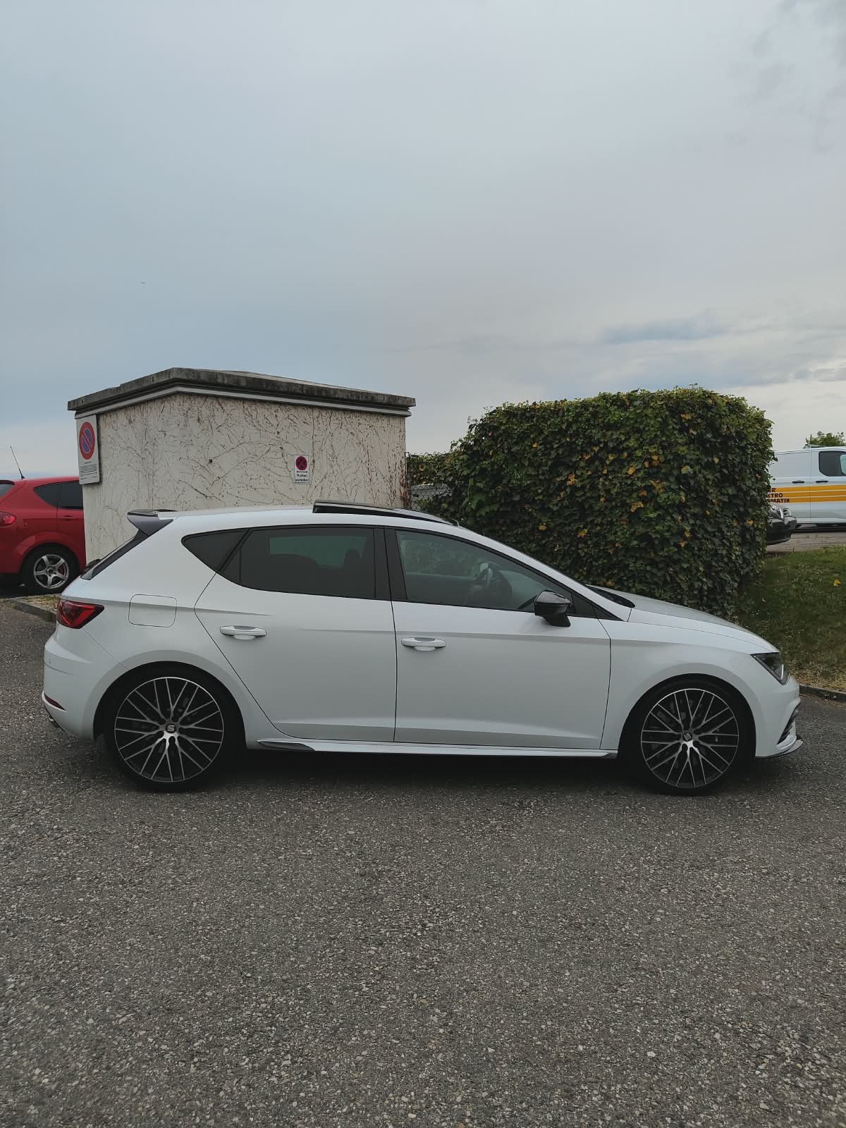 SEAT Leon 2.0 TSI SWISS 290 DSG, Essence, Occasion / Utilisé, Automatique - 5