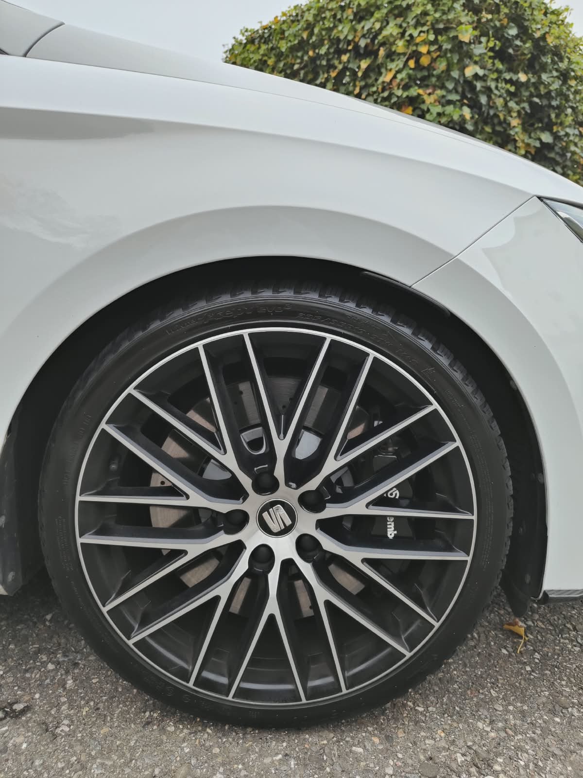 SEAT Leon 2.0 TSI SWISS 290 DSG, Essence, Occasion / Utilisé, Automatique - 7