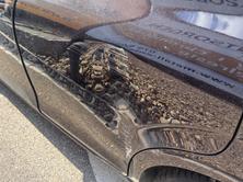 SEAT Leon 2.0 TSI, Benzin, Occasion / Gebraucht, Handschaltung - 7