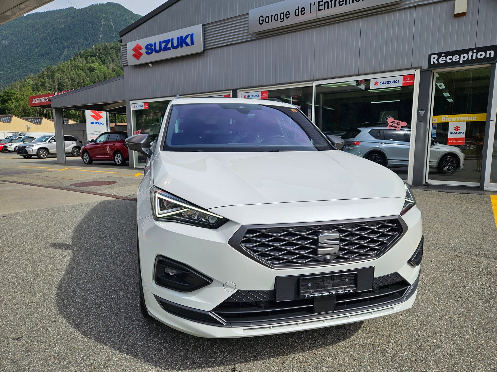 SEAT Tarraco 2.0TSI 4Drive DSG FR, Benzina, Occasioni / Usate, Automatico - 4