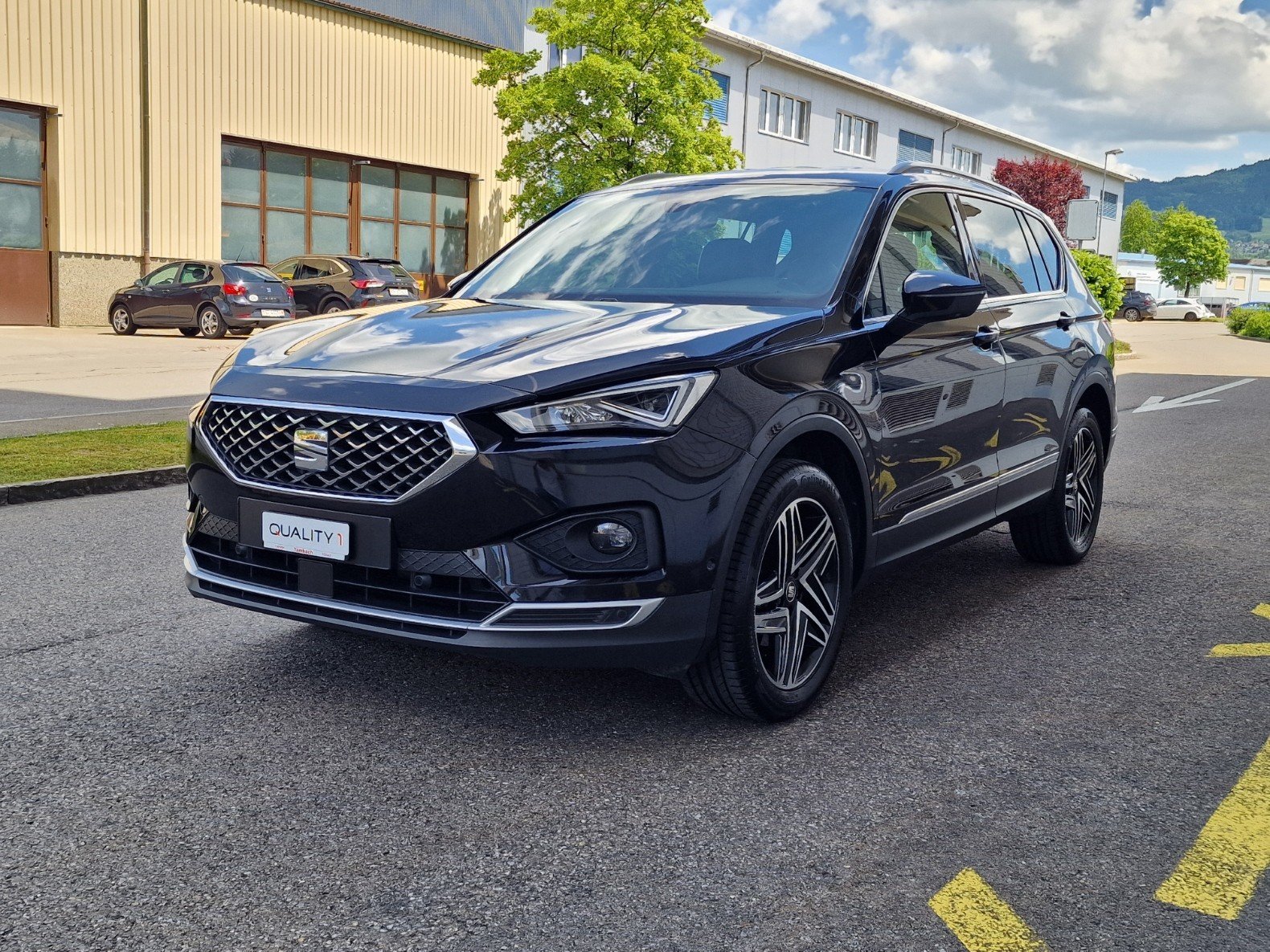 SEAT Tarraco 2.0 TDI CR Xcellence 4Drive DSG, Diesel, Occasion / Gebraucht, Automatik - 2
