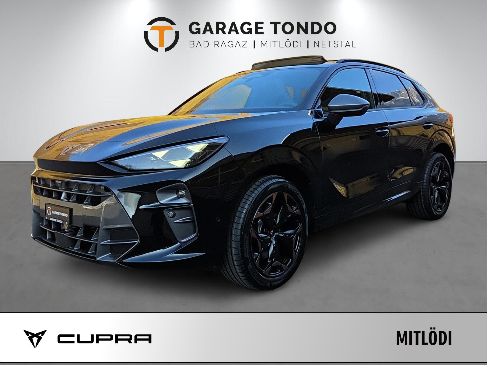 SEAT Terramar PE2.0TSI 265PS 2000ccm 265PS/195kW 4 Zylinder TSI B