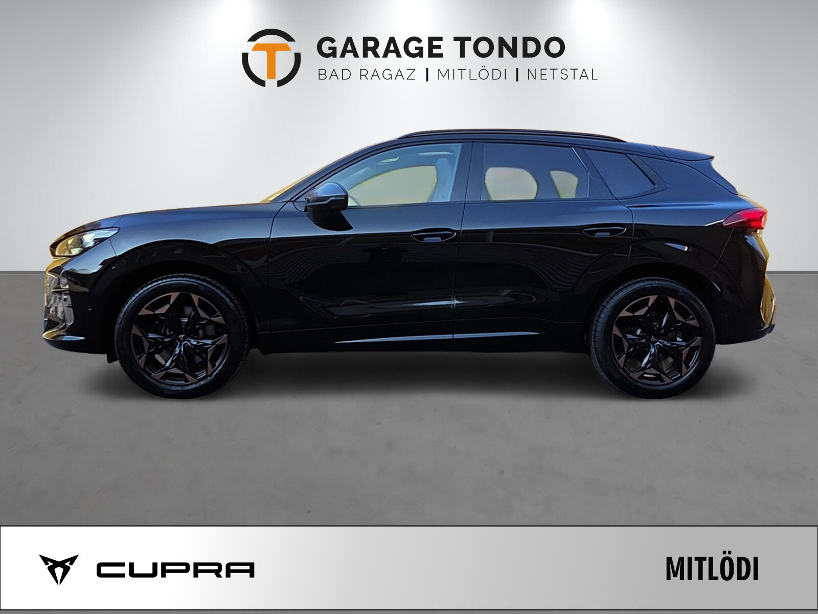 SEAT Terramar PE2.0TSI 265PS 2000ccm 265PS/195kW 4 Zylinder TSI B, Benzina, Auto nuove, Automatico - 3