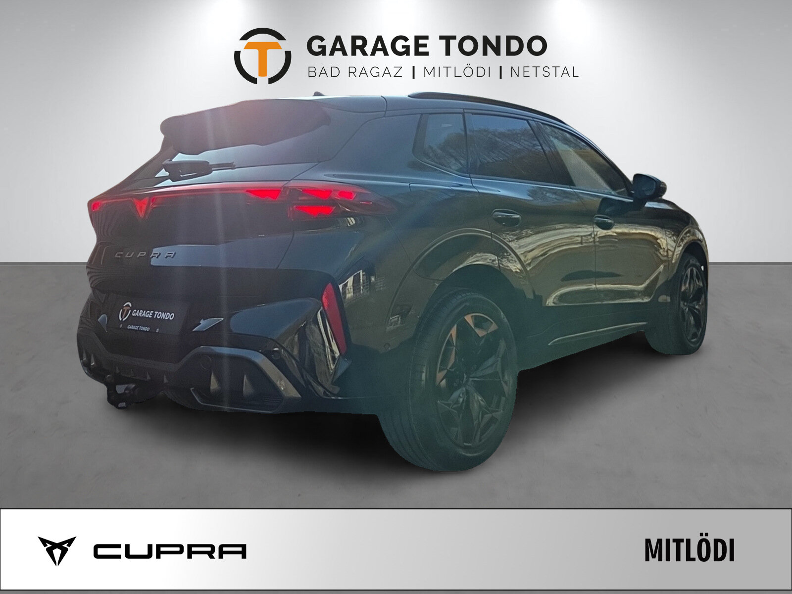 SEAT Terramar PE2.0TSI 265PS 2000ccm 265PS/195kW 4 Zylinder TSI B, Benzina, Auto nuove, Automatico - 4