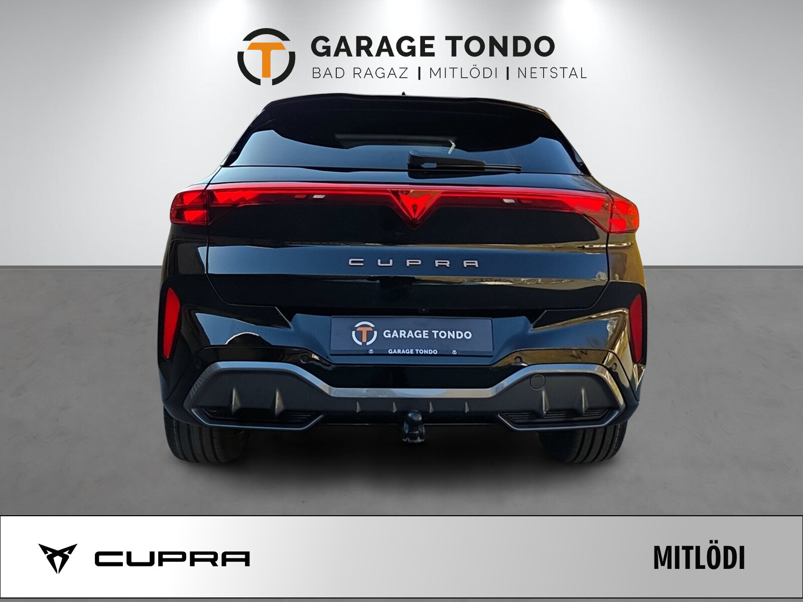 SEAT Terramar PE2.0TSI 265PS 2000ccm 265PS/195kW 4 Zylinder TSI B, Benzina, Auto nuove, Automatico - 6
