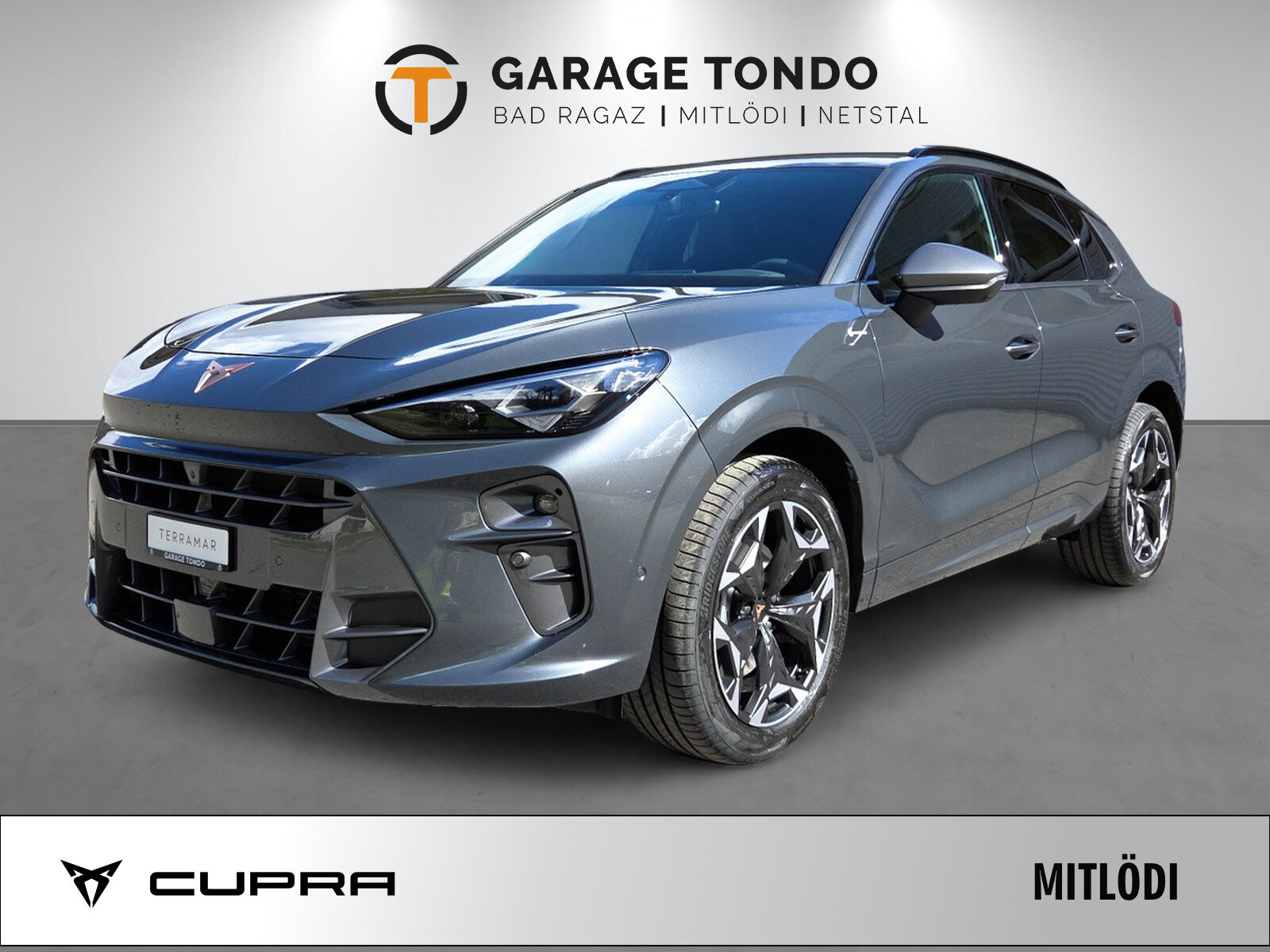 SEAT Terramar PE 2.0TSI 204 4 2000ccm 204PS/150kW 4 Zylinder TSI 