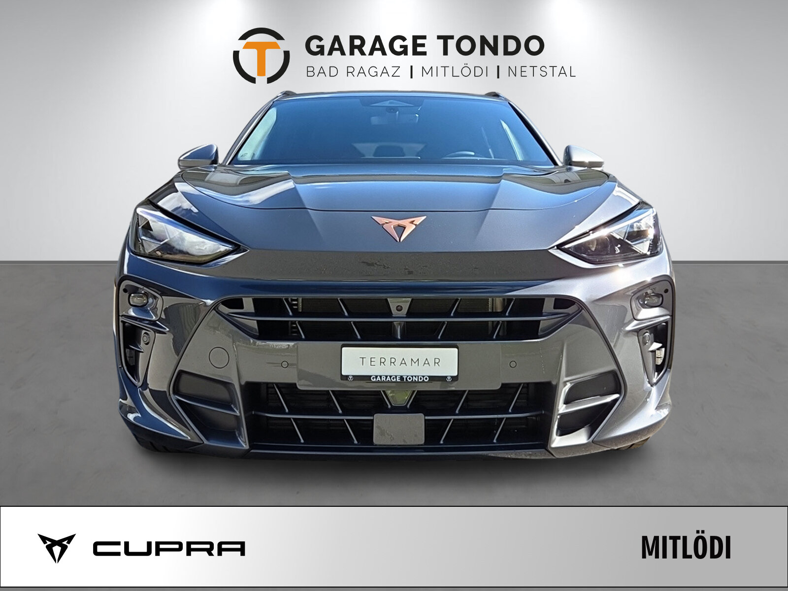 SEAT Terramar PE 2.0TSI 204 4 2000ccm 204PS/150kW 4 Zylinder TSI , Benzin, Neuwagen, Automatik - 2