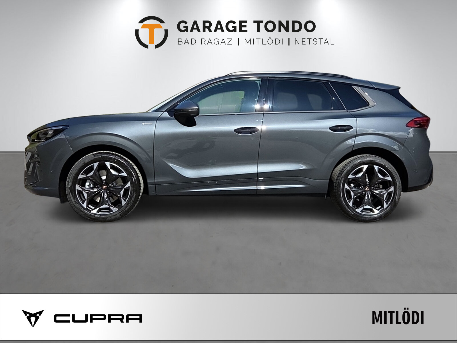 SEAT Terramar PE 2.0TSI 204 4 2000ccm 204PS/150kW 4 Zylinder TSI , Benzin, Neuwagen, Automatik - 4